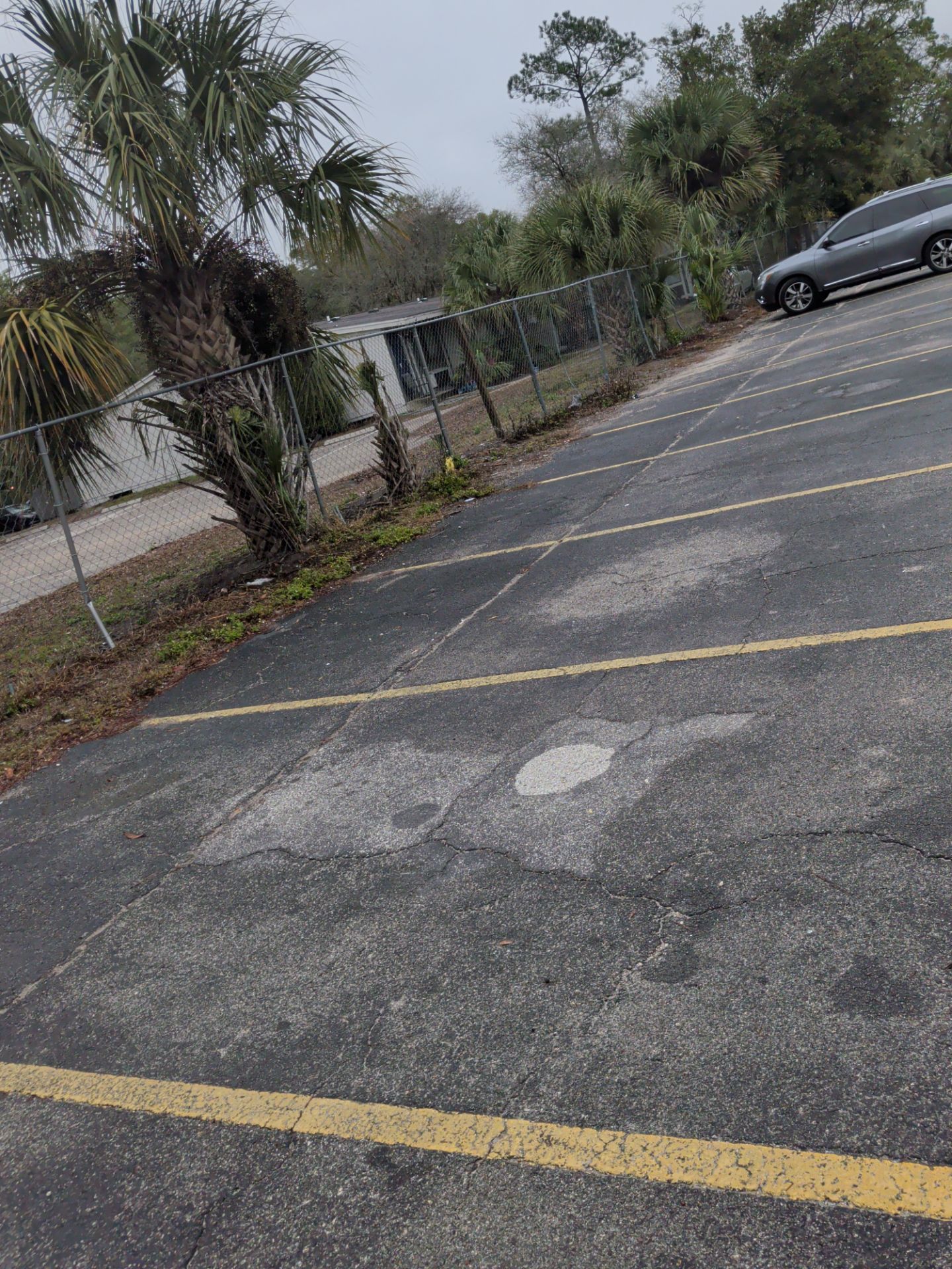 Commercial Landscape Cleanup & Weekly Maintenance — Grassy Pond Apartments by Harmoni Home Services