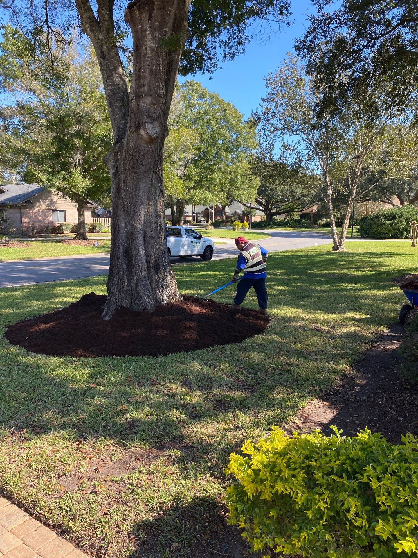 Deerwood Resident | Mulch Freshen Up Project by ProGreen Services