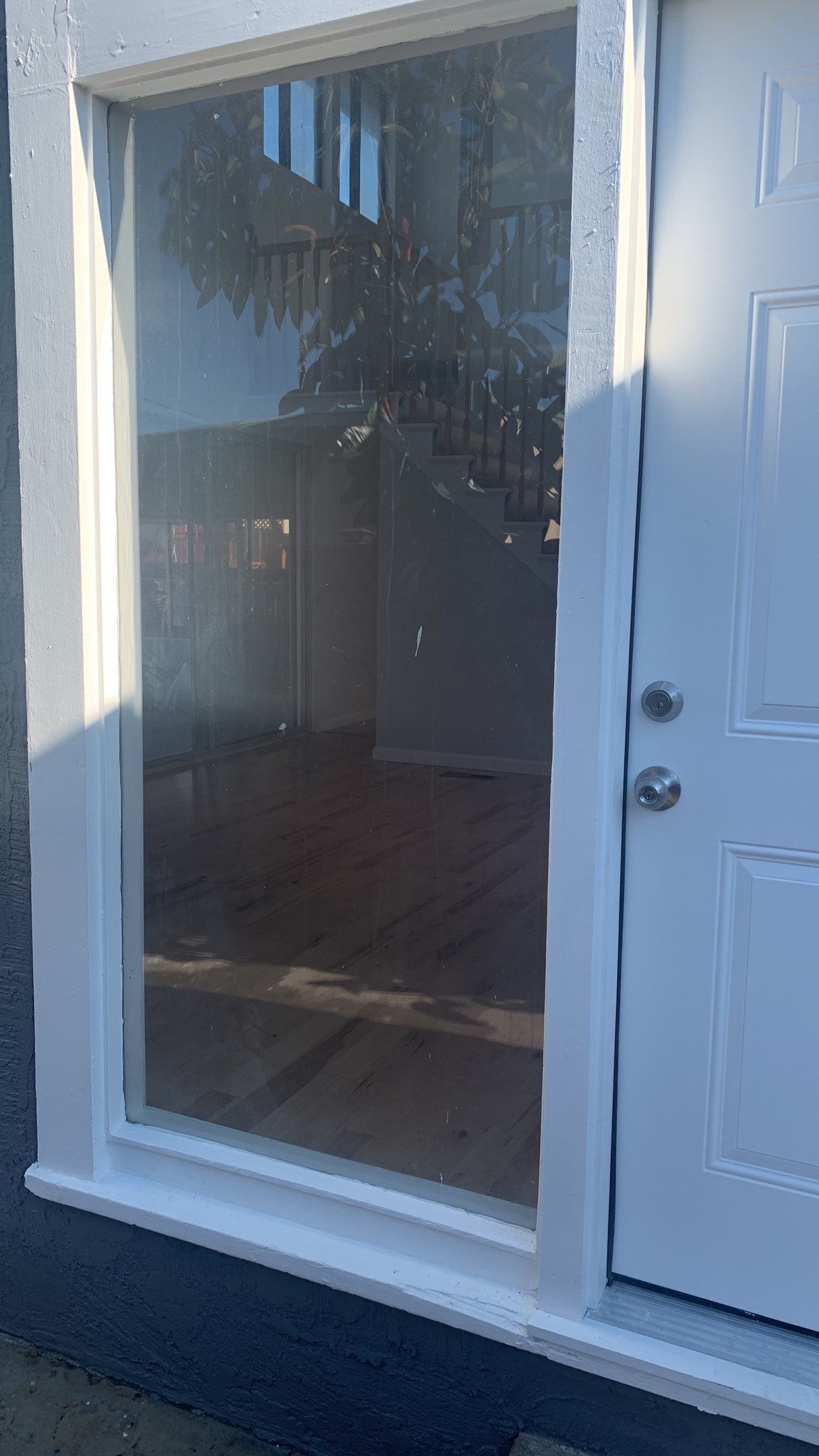 Tess Blengino Listing 2831 Gonzaga by SpotFree Window Cleaning