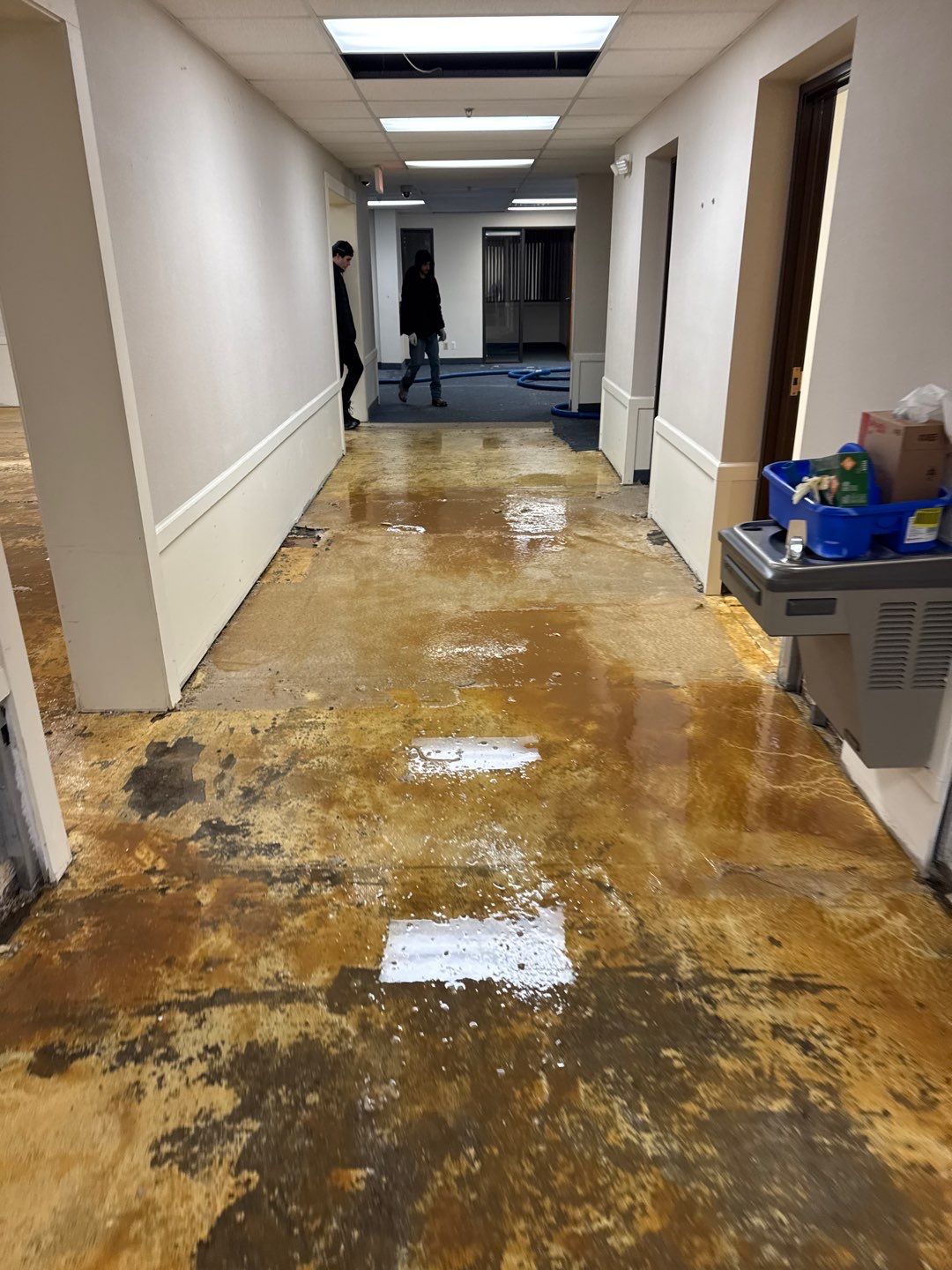 Project in Warren by EzDry Water Mitigation & Property Restoration