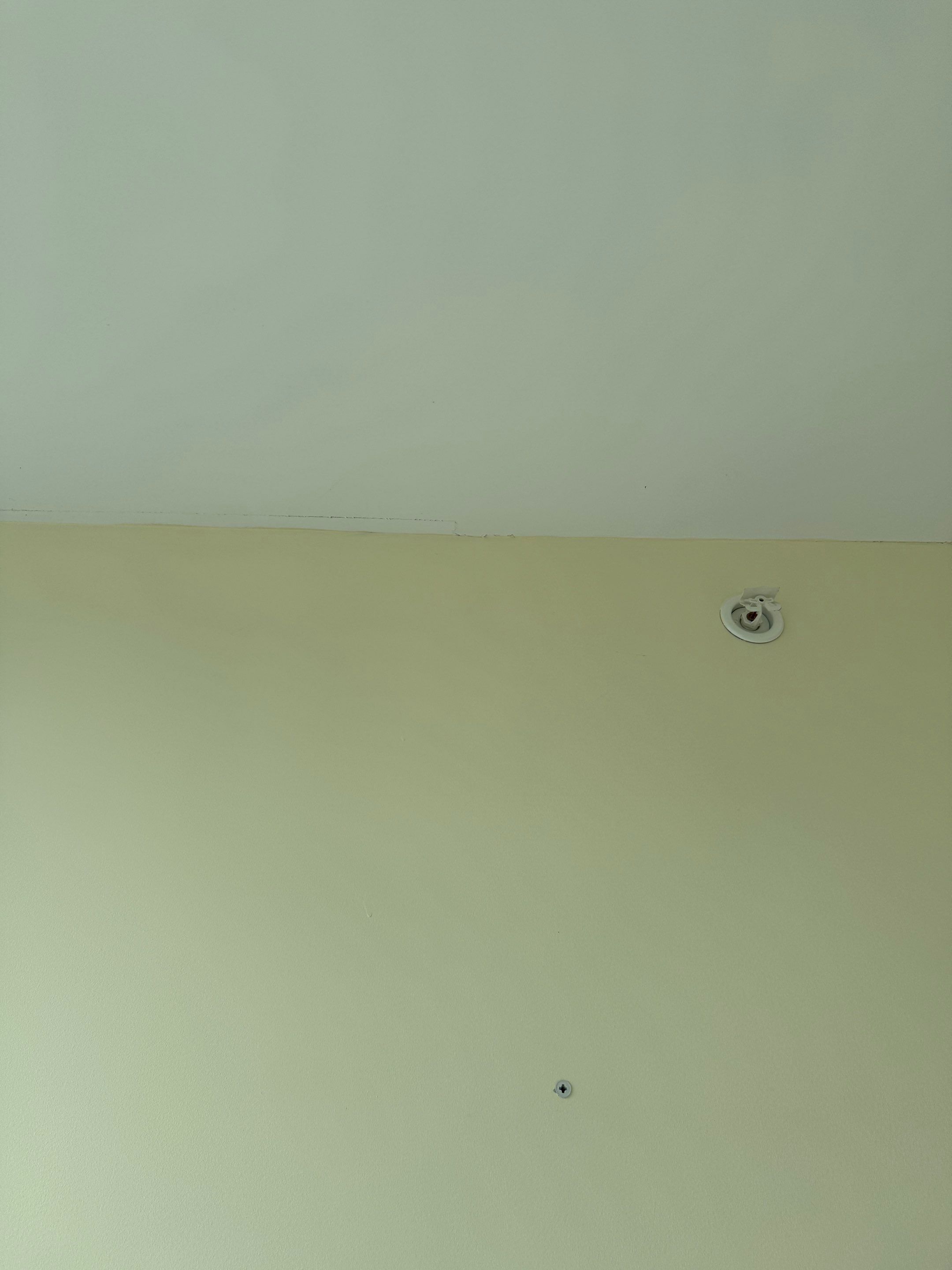Touch up and painting project  by YVR Construction Group