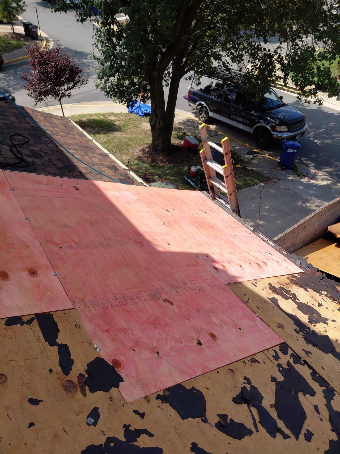 Alexandria: Residential Roof with CertainTeed Landmark Pro in Max Def Burnt Sienna by RM Banning, Inc.