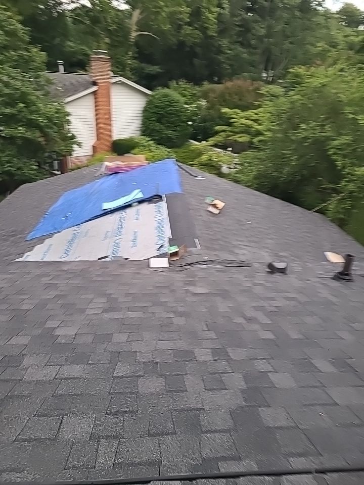 Vienna: CertainTeed Landmark Pro Architectural Shingles in Max Def Pewterwood by RM Banning, Inc.