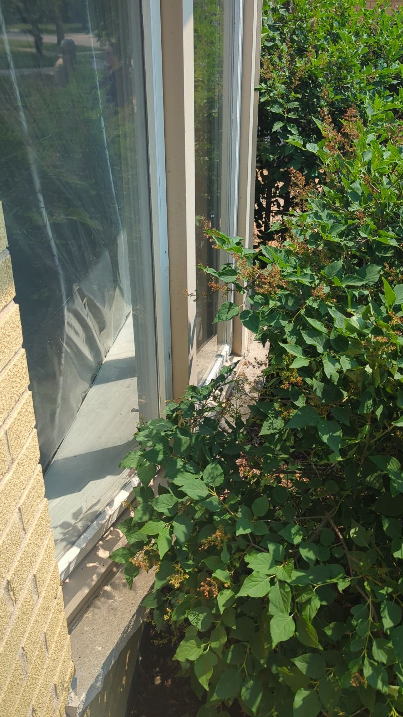 Project in Darien by AJ Exteriors & Roofing Inc.