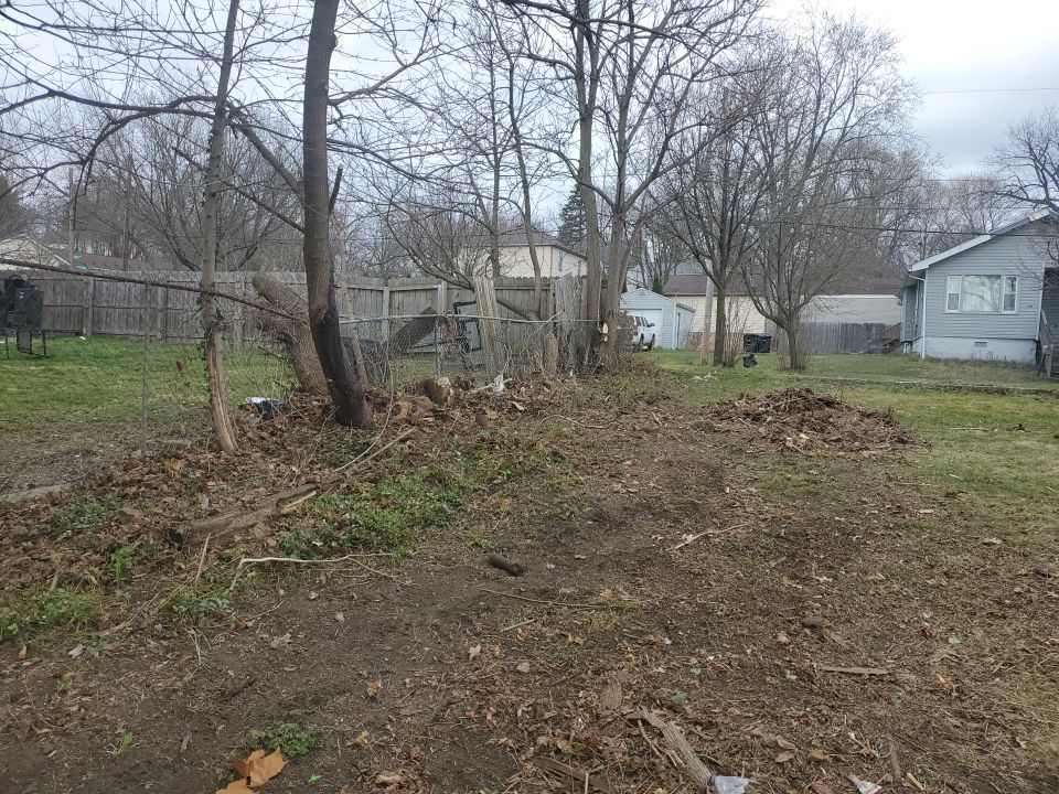 Tree Removal using Tree Removal by Mike Jones & Sons Tree Service LLC 