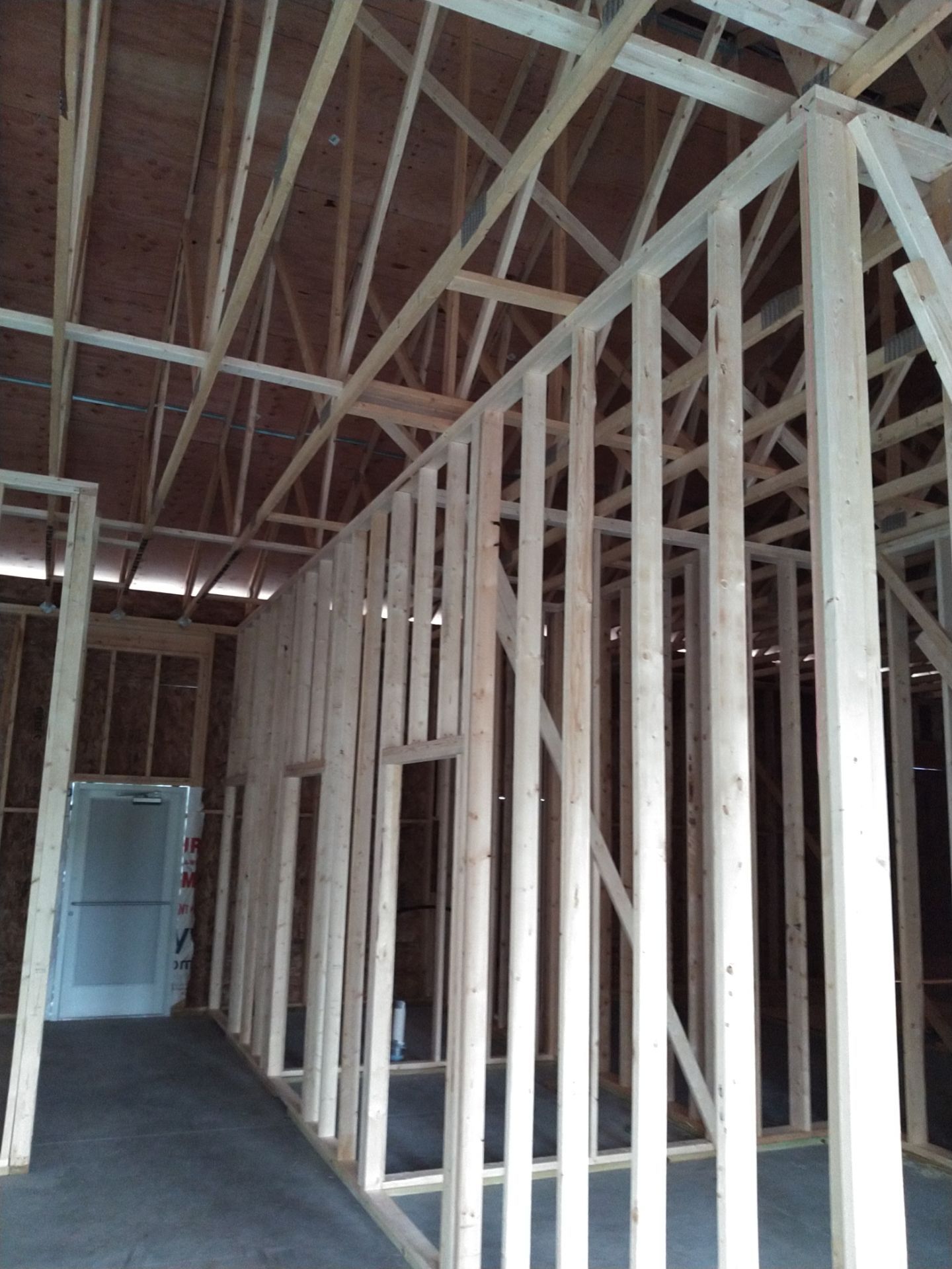 Full Office Build by Case Construction