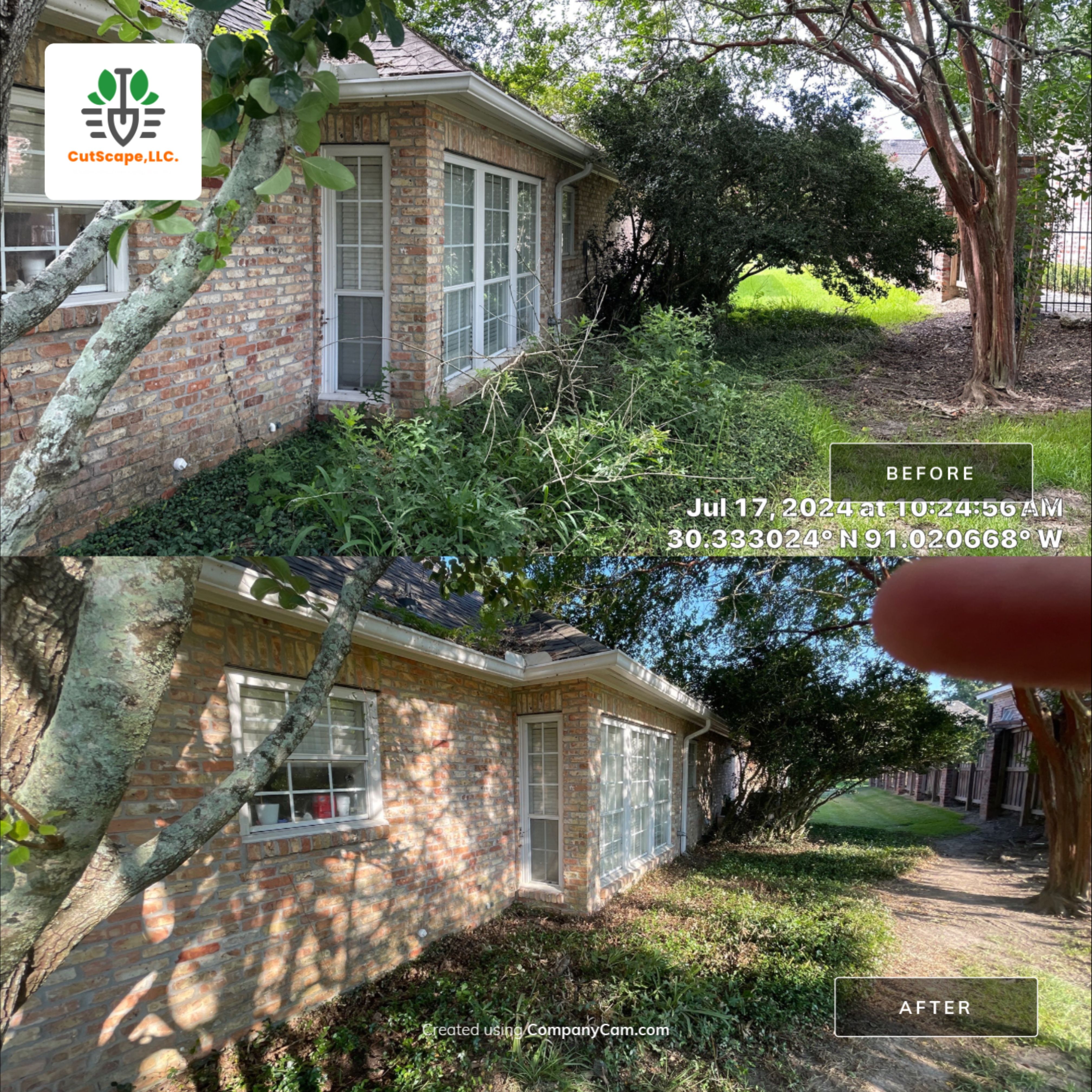 HERBICIDE / CLEAN OUT / TRIM / BRUSH DEBRIS REMOVAL by CutScape, LLC.