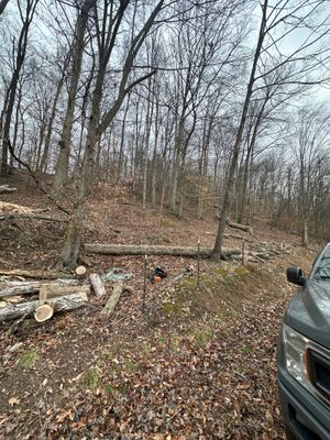 Project in WV