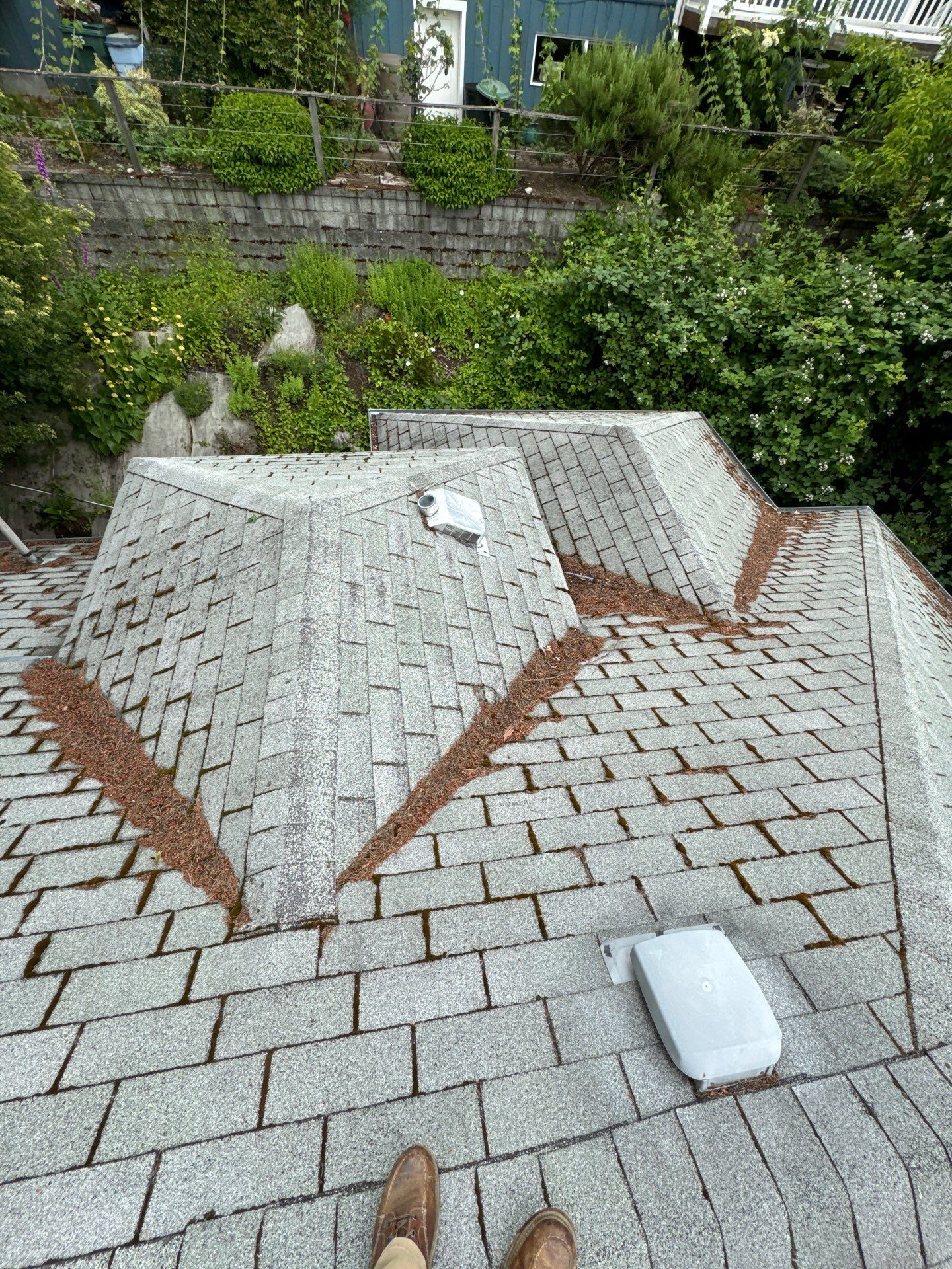 Project in Seattle by Peaks and Valleys Construction