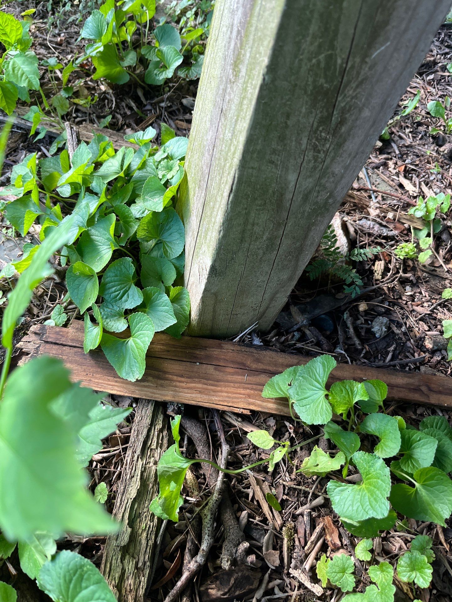 Inspección  by Mike home improvements 