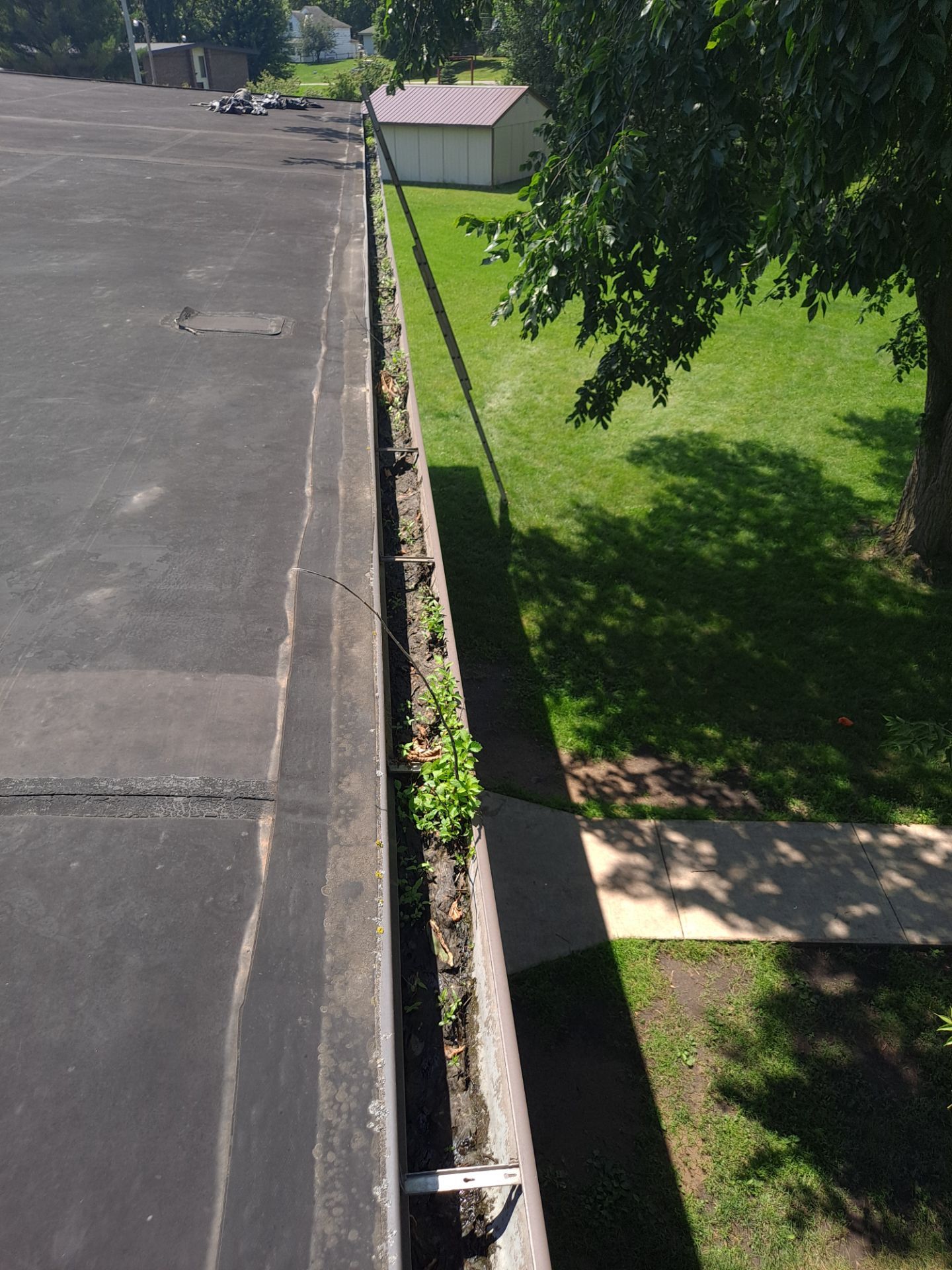 Commercial gutter cleaning Fargo, ND before photo with filled gutters
