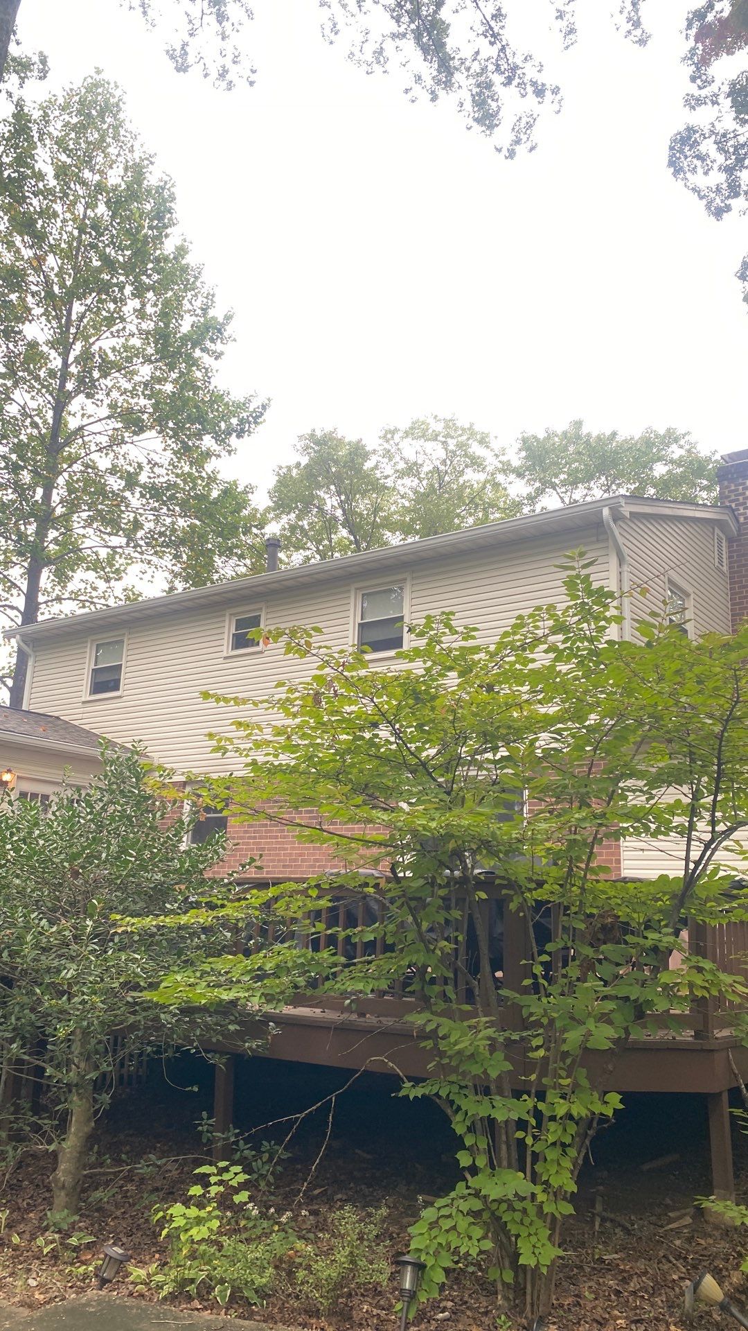 Springfield : Residential Roof Replacement with CertainTeed Landmark Pro in Max Weathered Wood  by RM Banning, Inc.