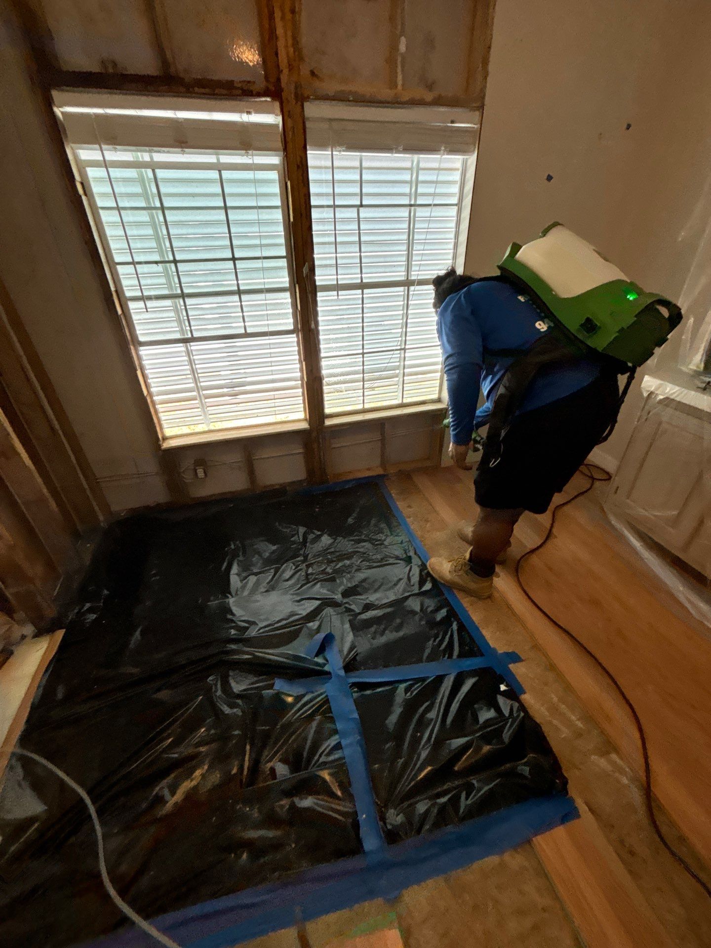 Mold Remediation Palmetto by Ampm Restoration Services 