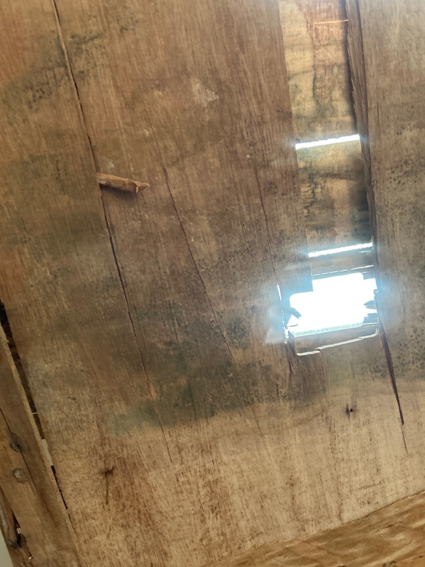 Mold Remediation Bradenton by Ampm Restoration Services 