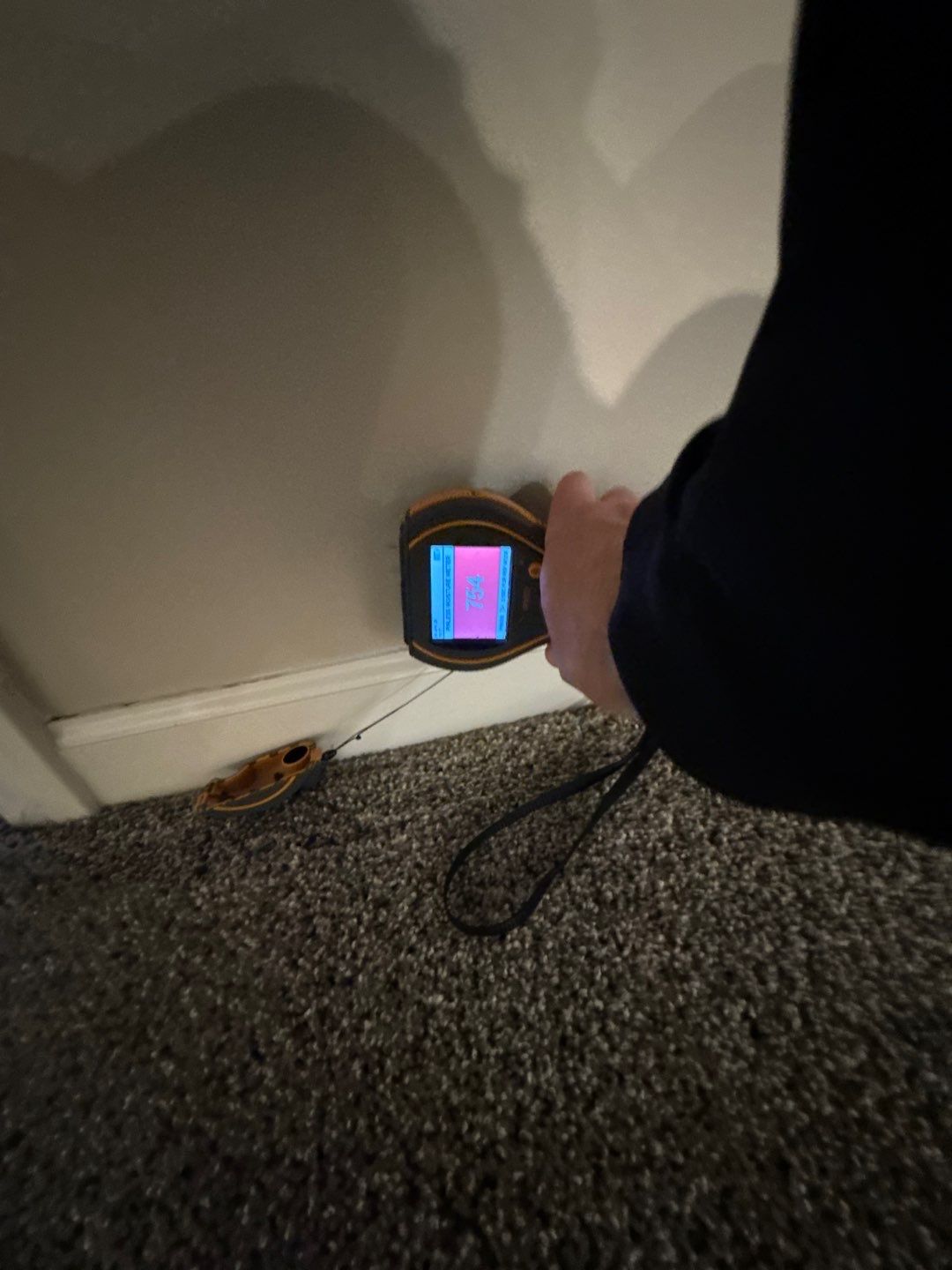 Project in Royal Oak by EzDry Water Mitigation & Property Restoration