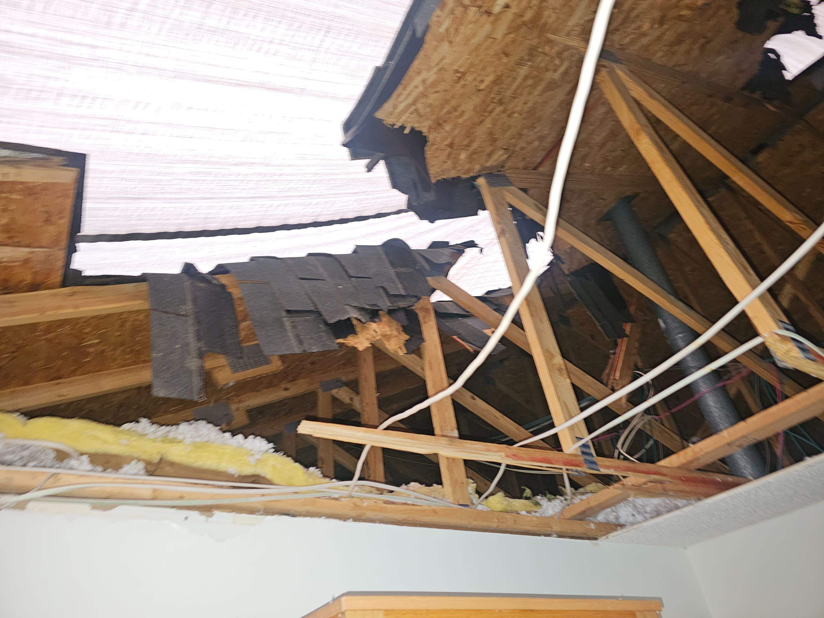 Tree Damage  by Ajayi Design and Construction 