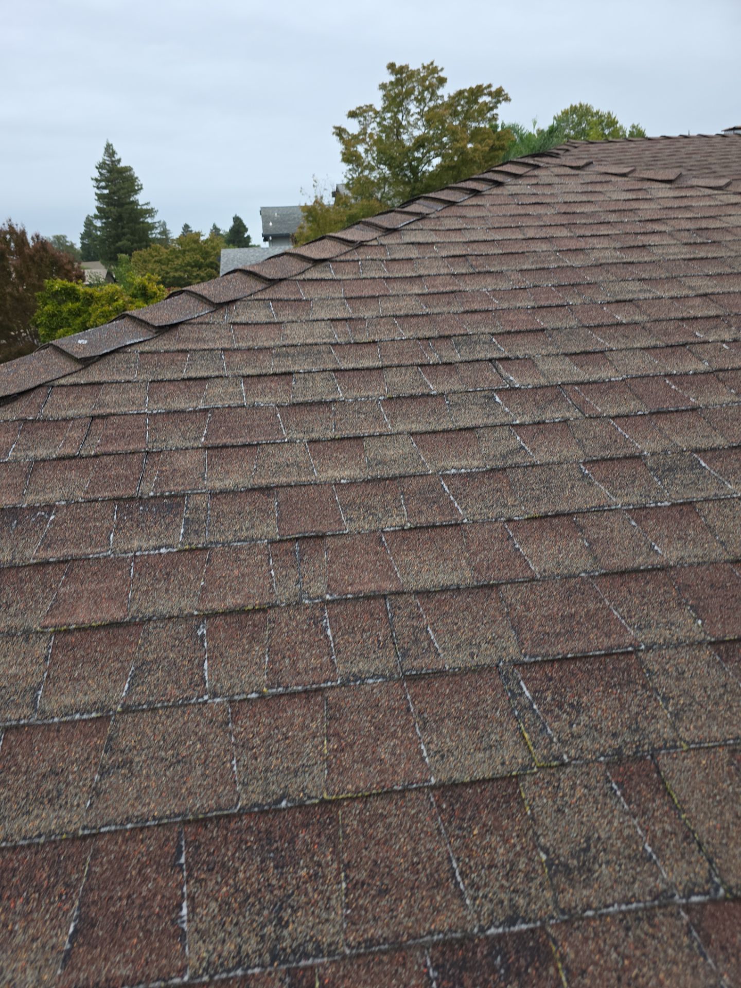 Roof Rejuvenation using Roof Maxx Treatment by Roof Maxx of Folsom