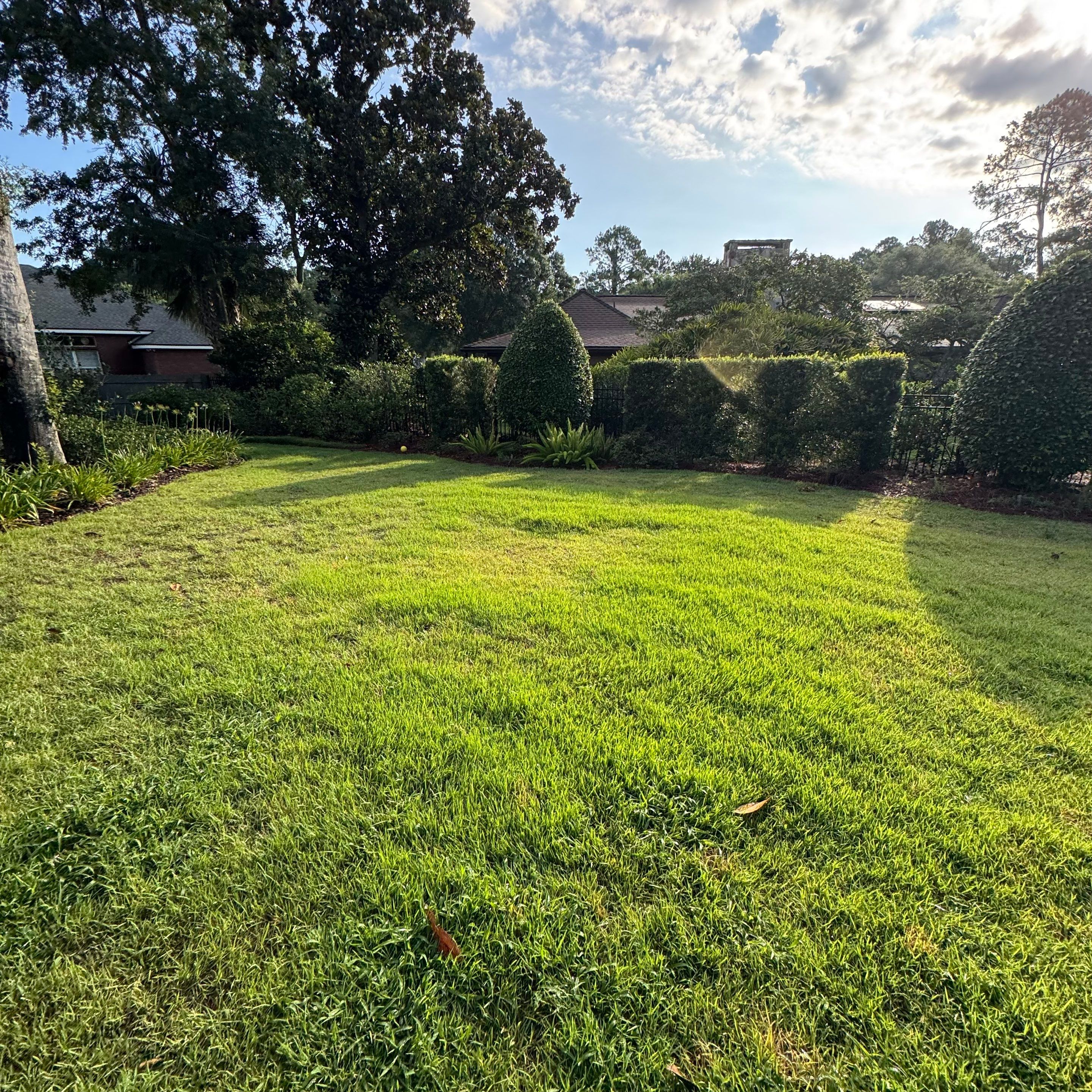 Deerwood Resident | Sod Installation by ProGreen Services