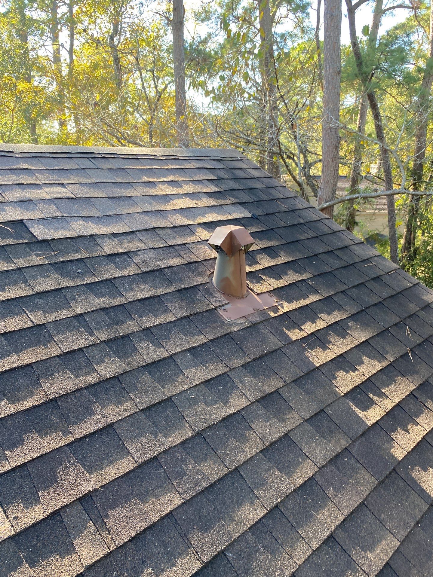DAVID C by Boss Hogg Roofing