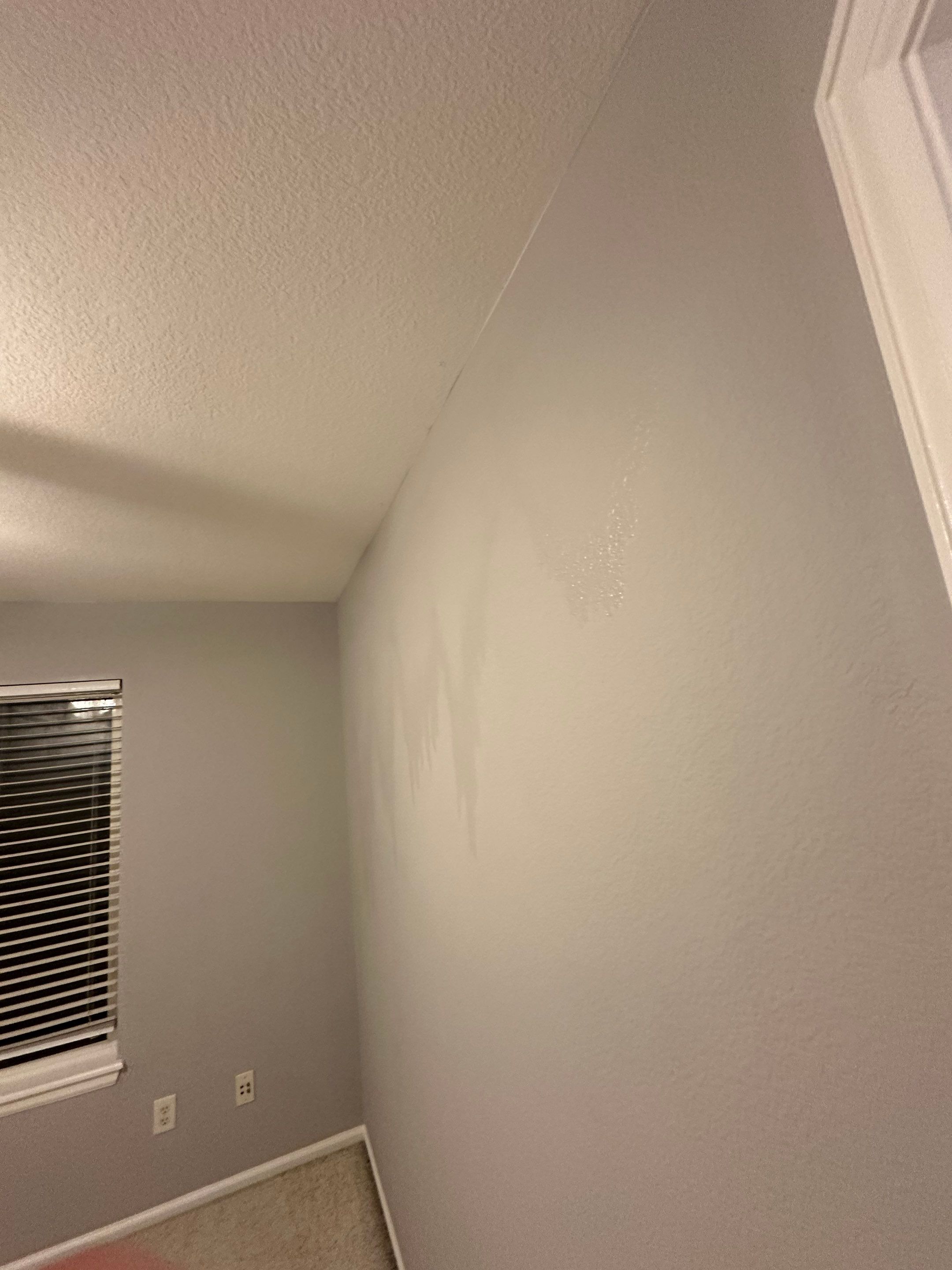 Water Damage in Highlands Ranch by Alpha Restoration 
