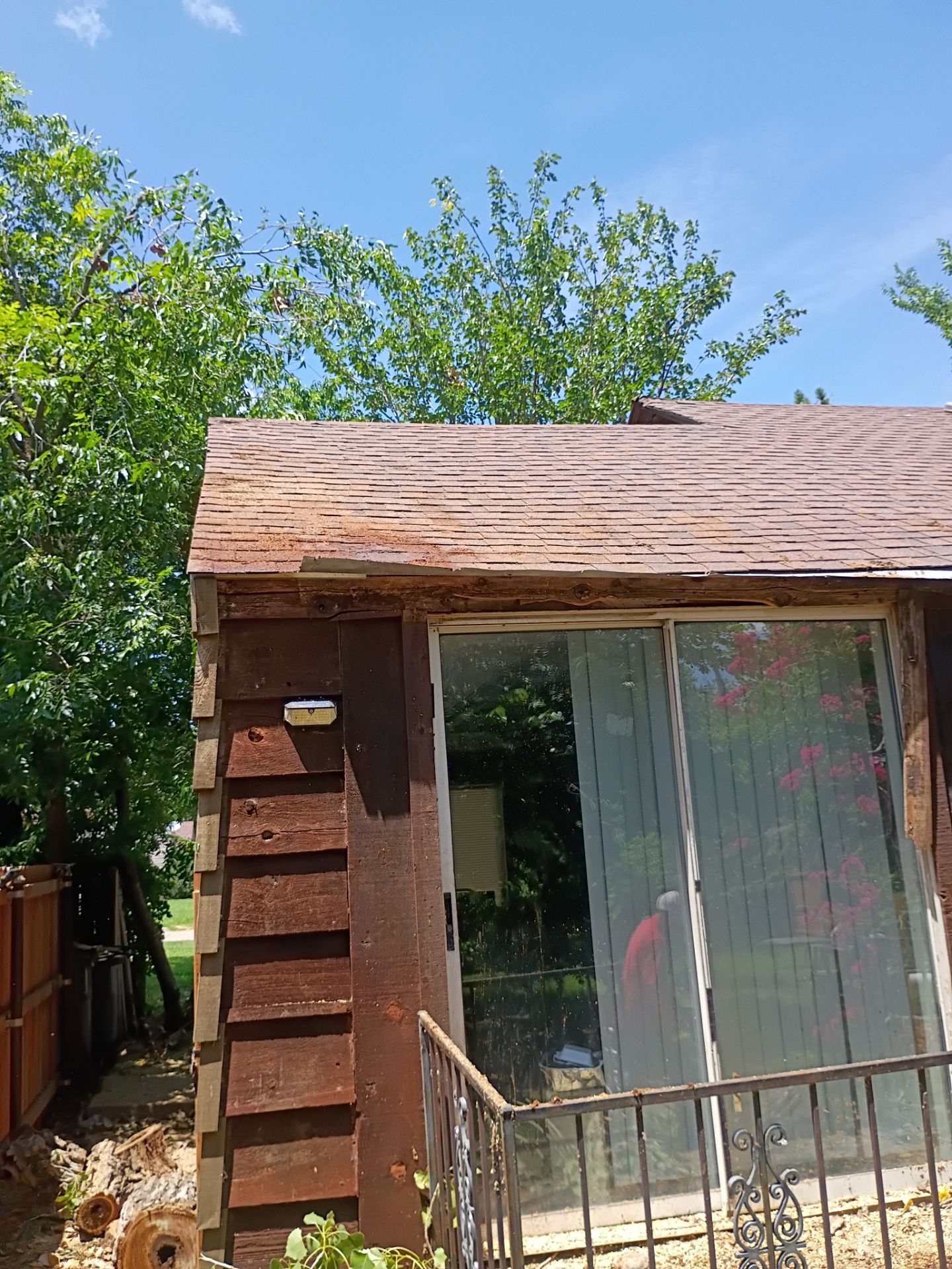 Dangerous Tree Tree Removal  by Clays Services Inc