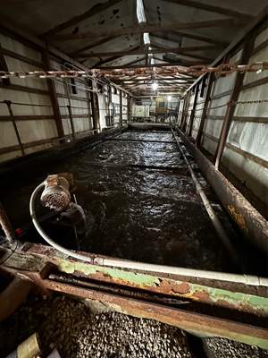 Complete Mobile Home Park Sewer Evaluation