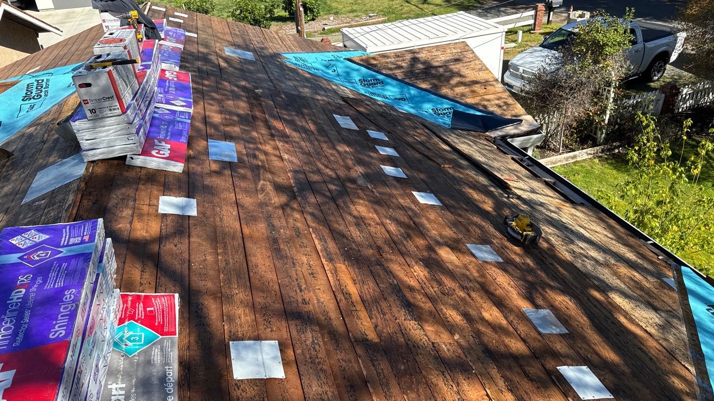 Willa Holmstock by NuLead Construction Inc