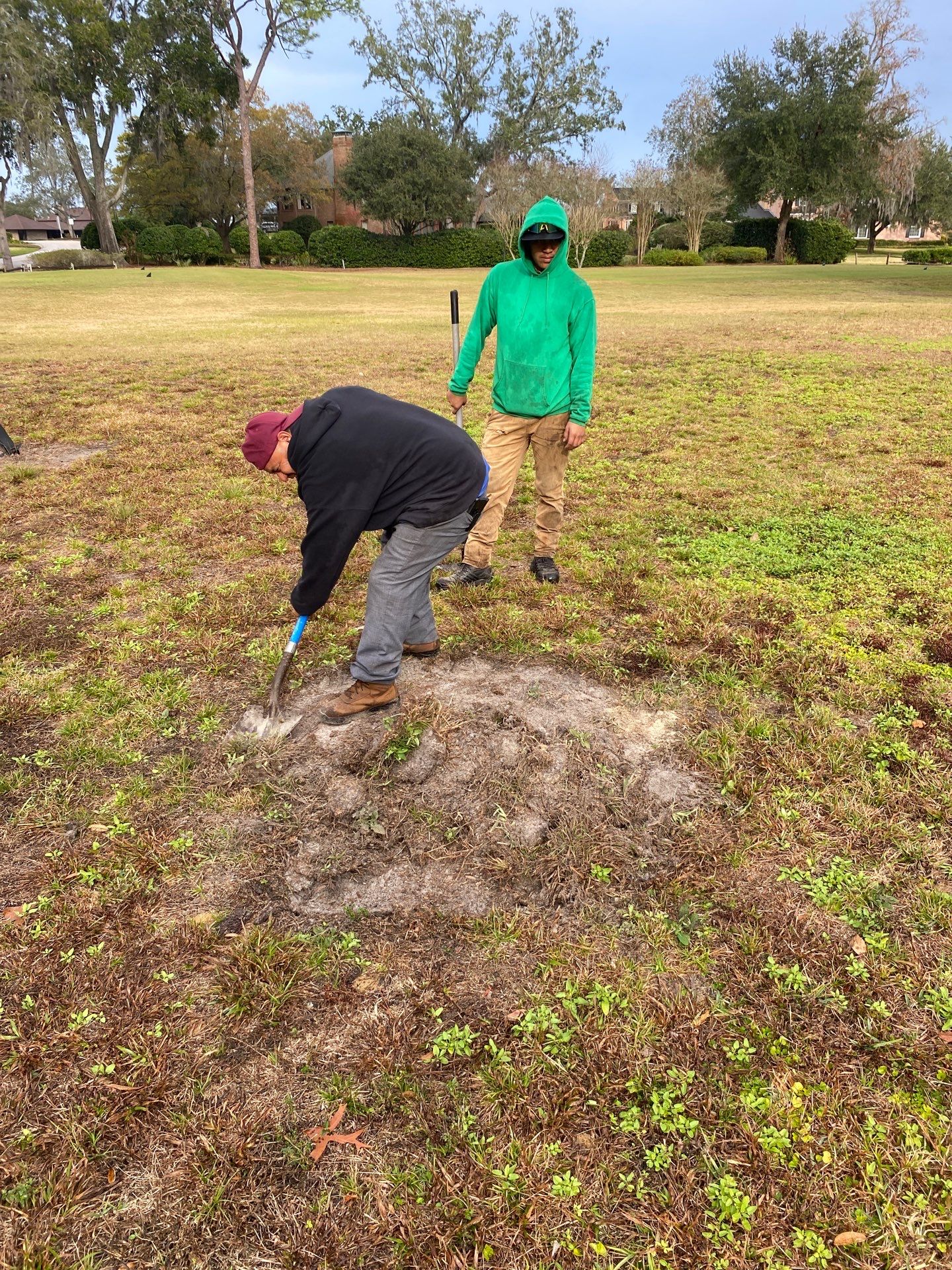 Deerwood | Live Oak Planting Project  by ProGreen Services