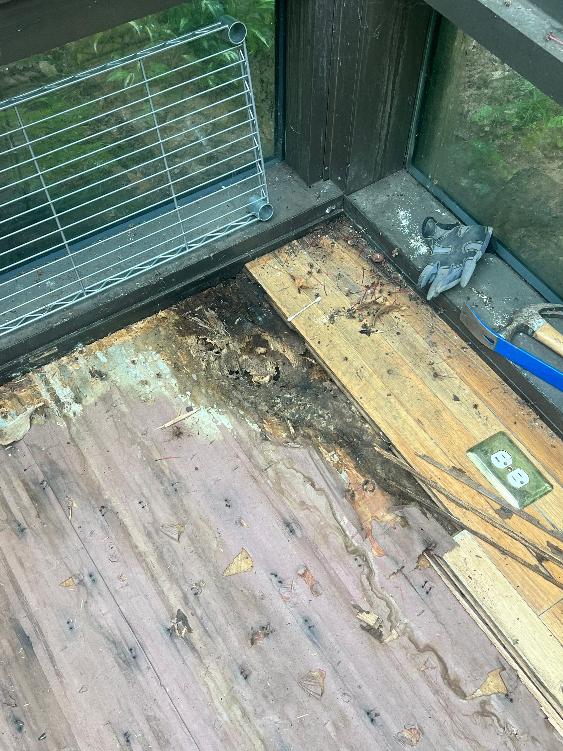 Water-damaged hardwood by Footprints Floors of Nashville