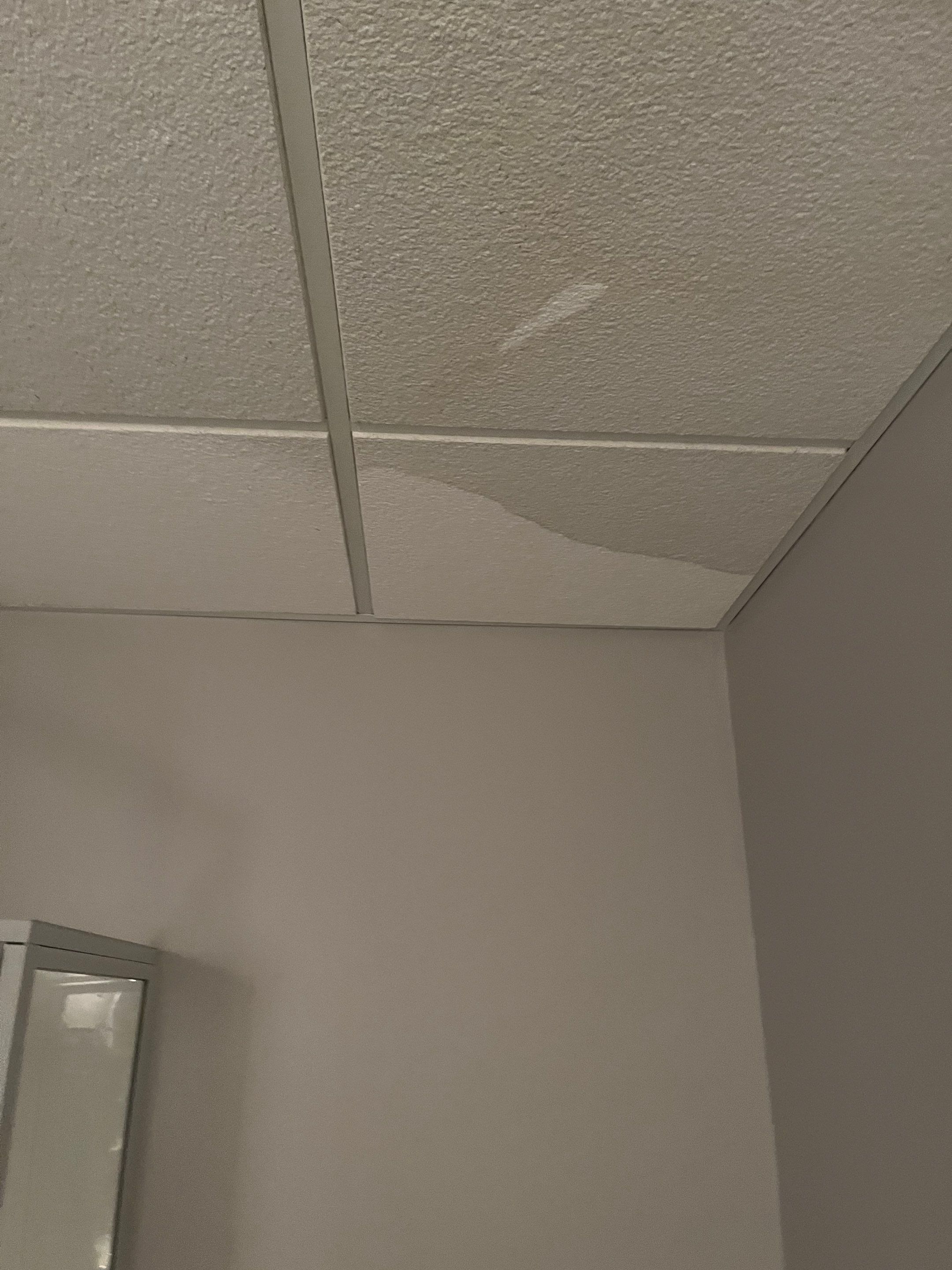 Basement Pipe Burst Emergency Mitigation Demo and Dry Down using Dehumidifiers and Air Movers by Absolute Roofing and Construction