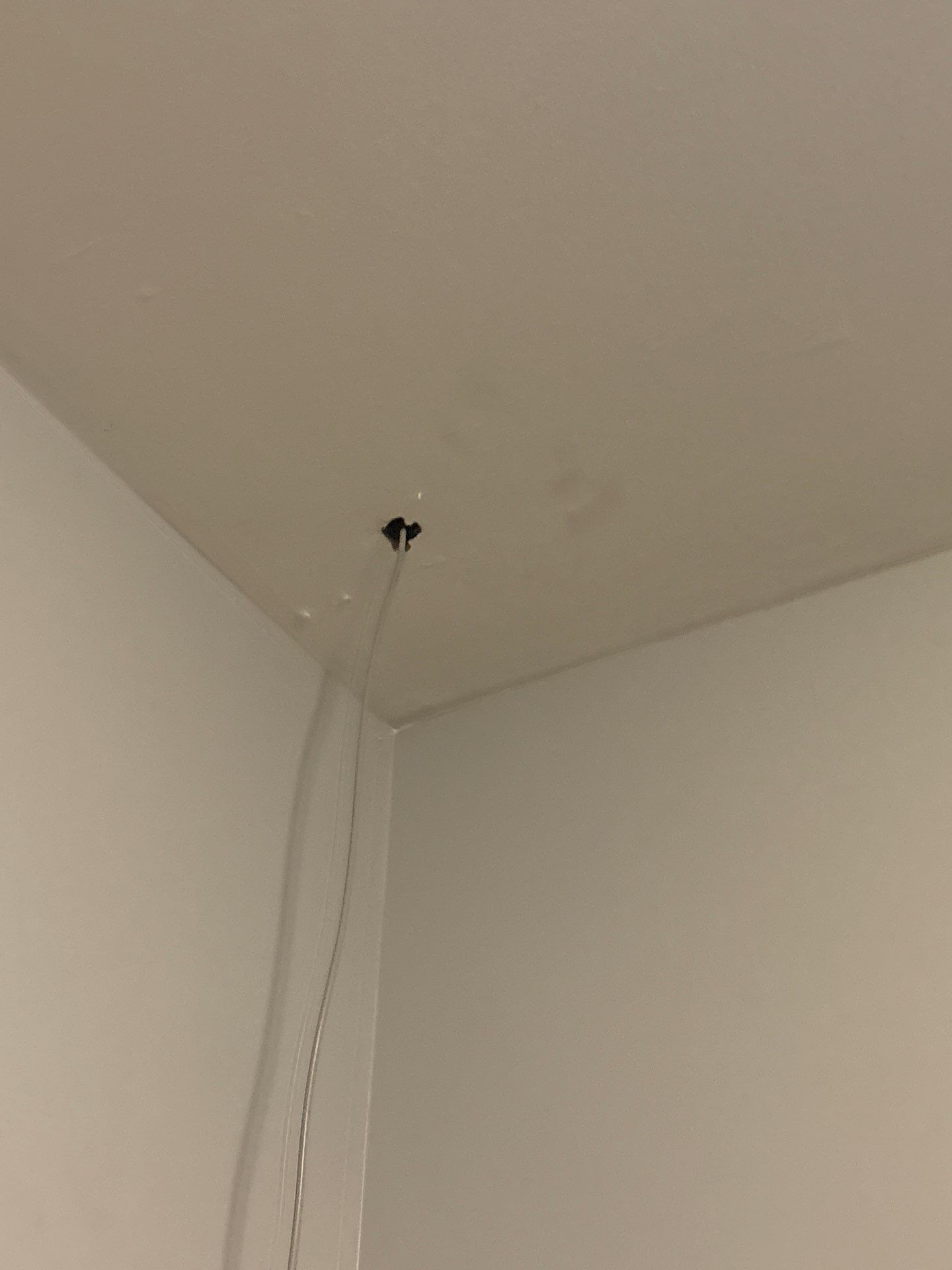 Interior Ceiling and Drywall Repair in Denver by CompanyCam Sales Demo