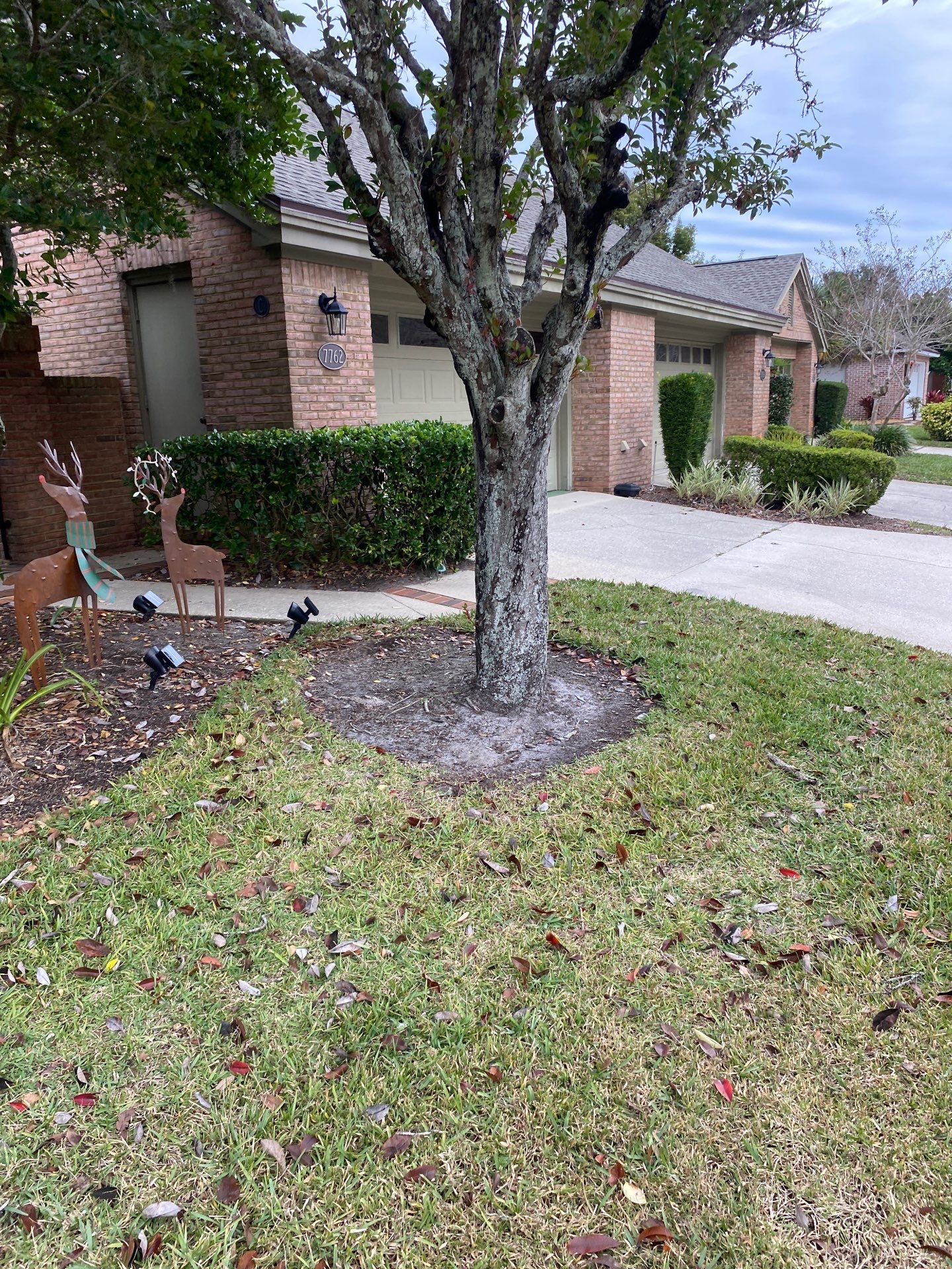 Deerwood Pointe | Tree Removal & Pine Straw Installation by ProGreen Services