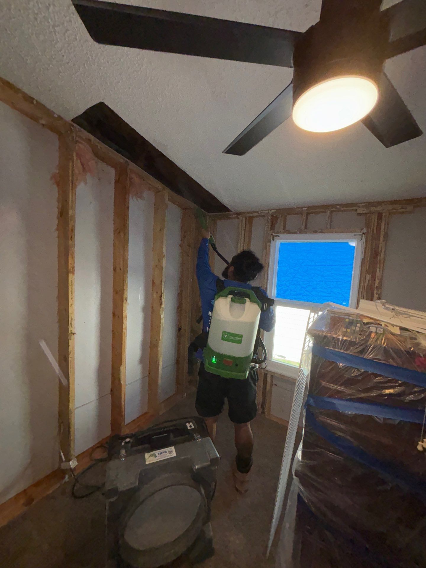 Home Mold Removal by Ampm Restoration Services
