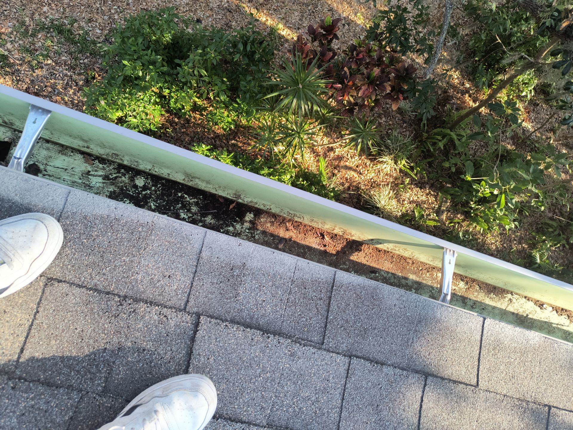 Professional Gutter cleaning Aluminum Seamless Gutters  in Sarasota FL by Gutter Professors