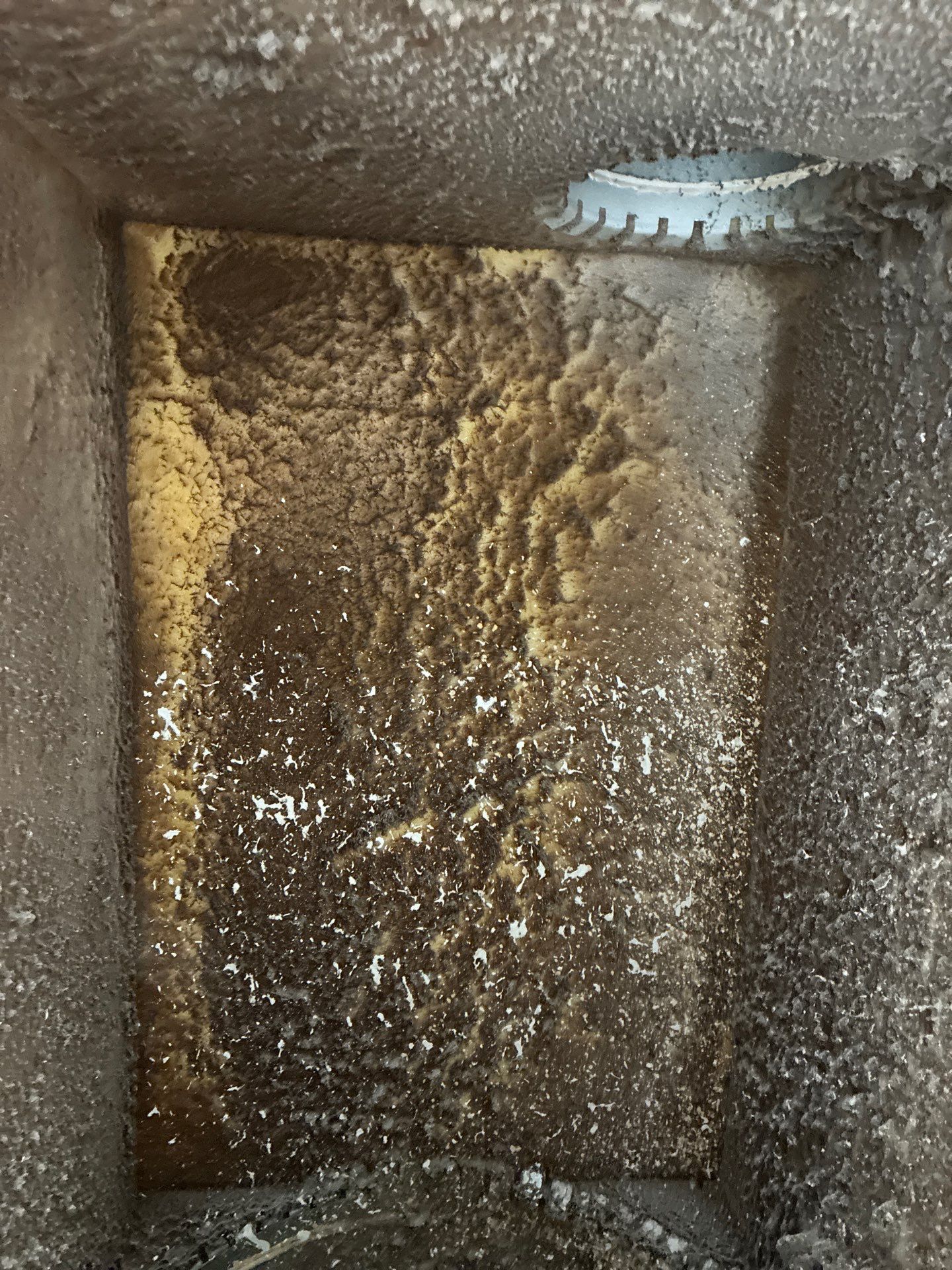 Air Duct Cleaning in The Villages by Hygienic Air, Inc