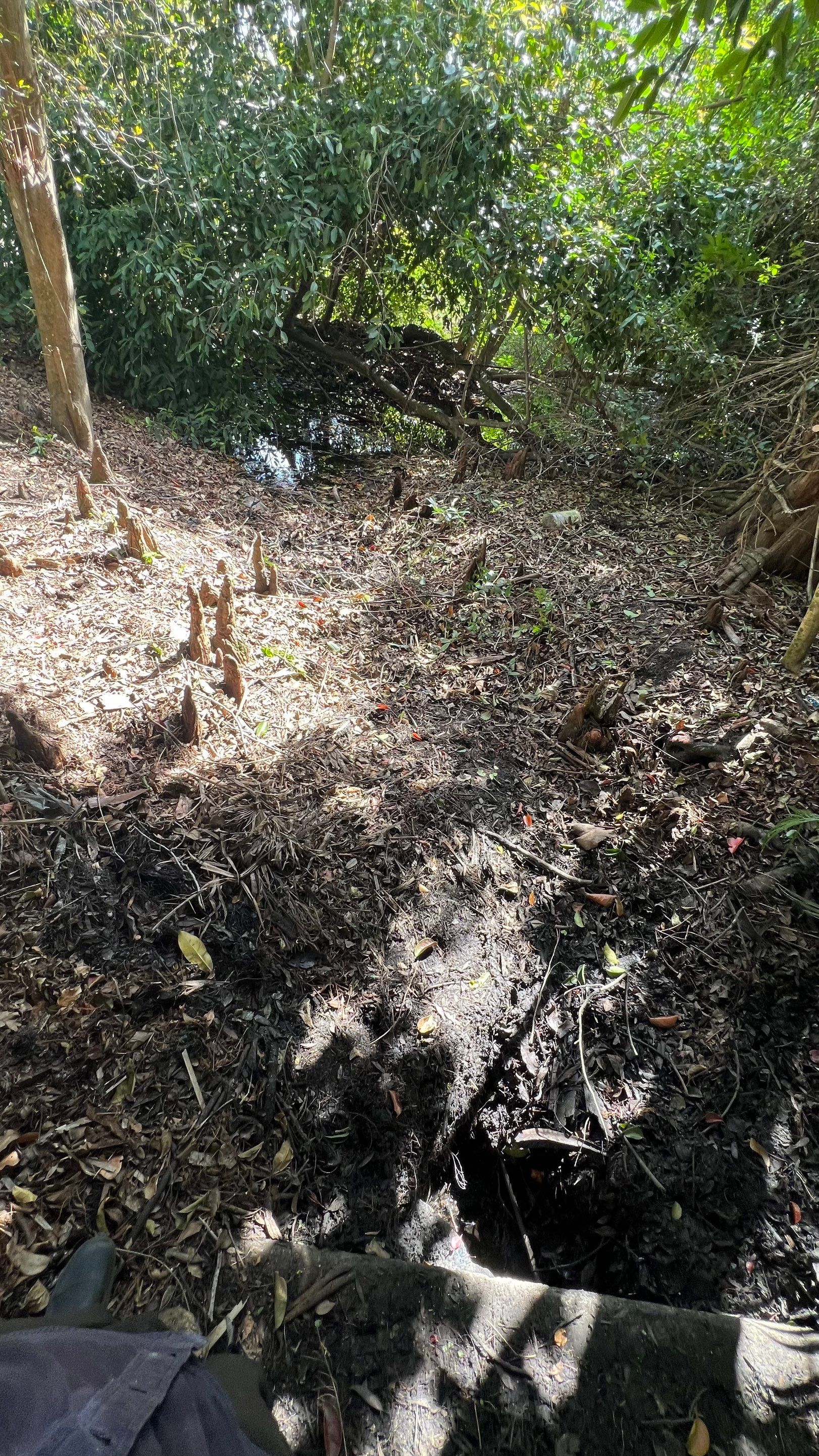 Naples Community Storm Water System Maintenance by APS Power & Water