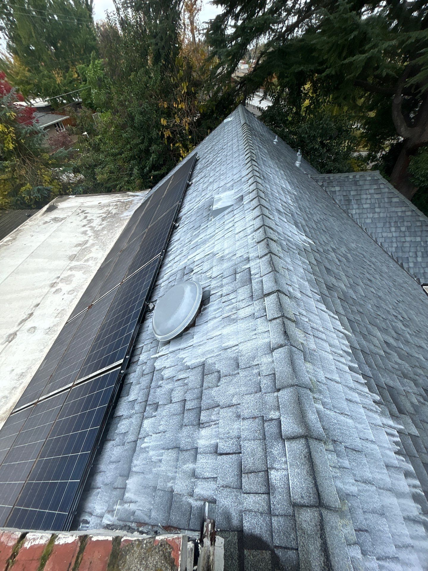 Roof Rejuvenation using Roof Maxx Treatment by Roof Maxx of Folsom