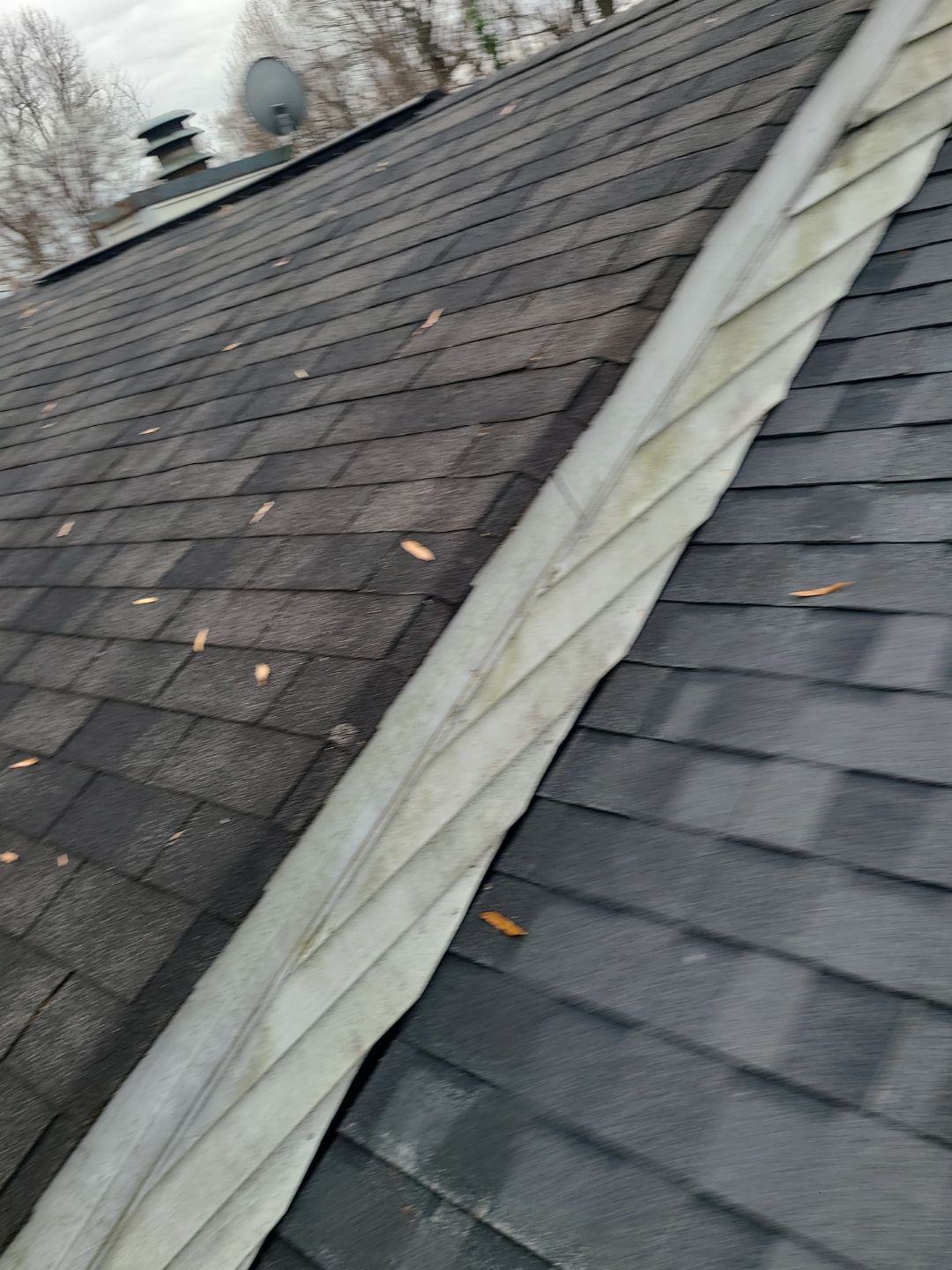 Falls Church: Residential Roof Replacement with CertainTeed Landmark Pro in Max Def Moire Black by RM Banning, Inc.