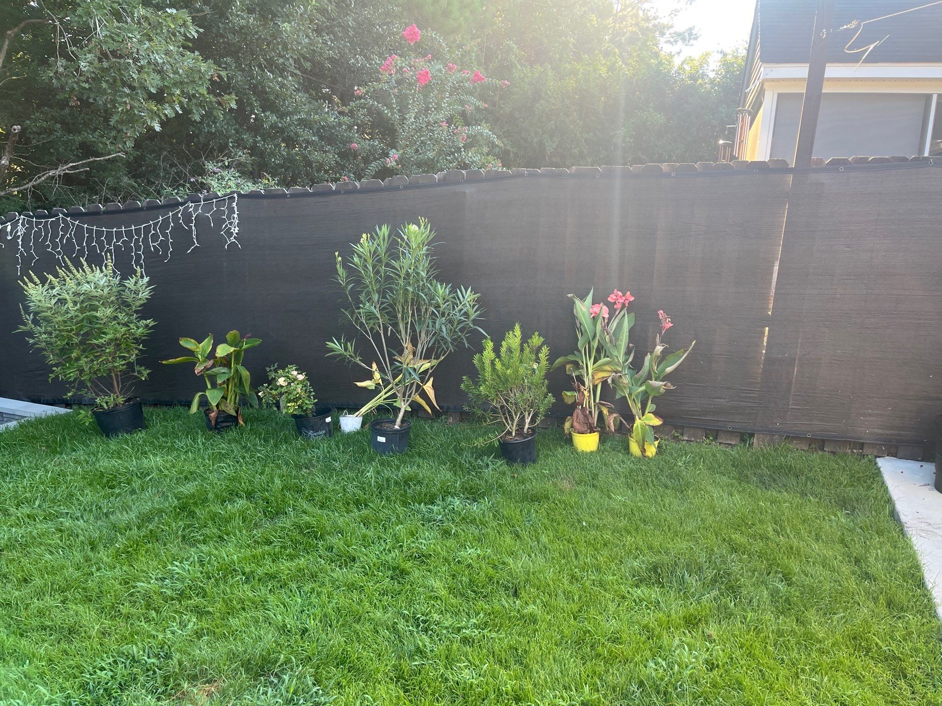 Backyard Sod and Flowerbed Installation in Summerville by Hudson Bros Lawn Care LLC