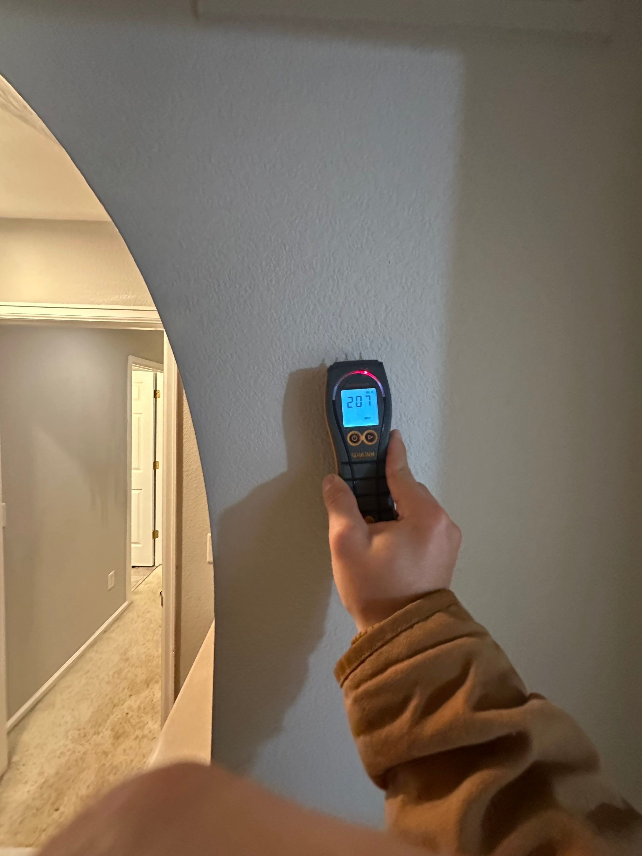 Water Damage in Highlands Ranch by Alpha Restoration 