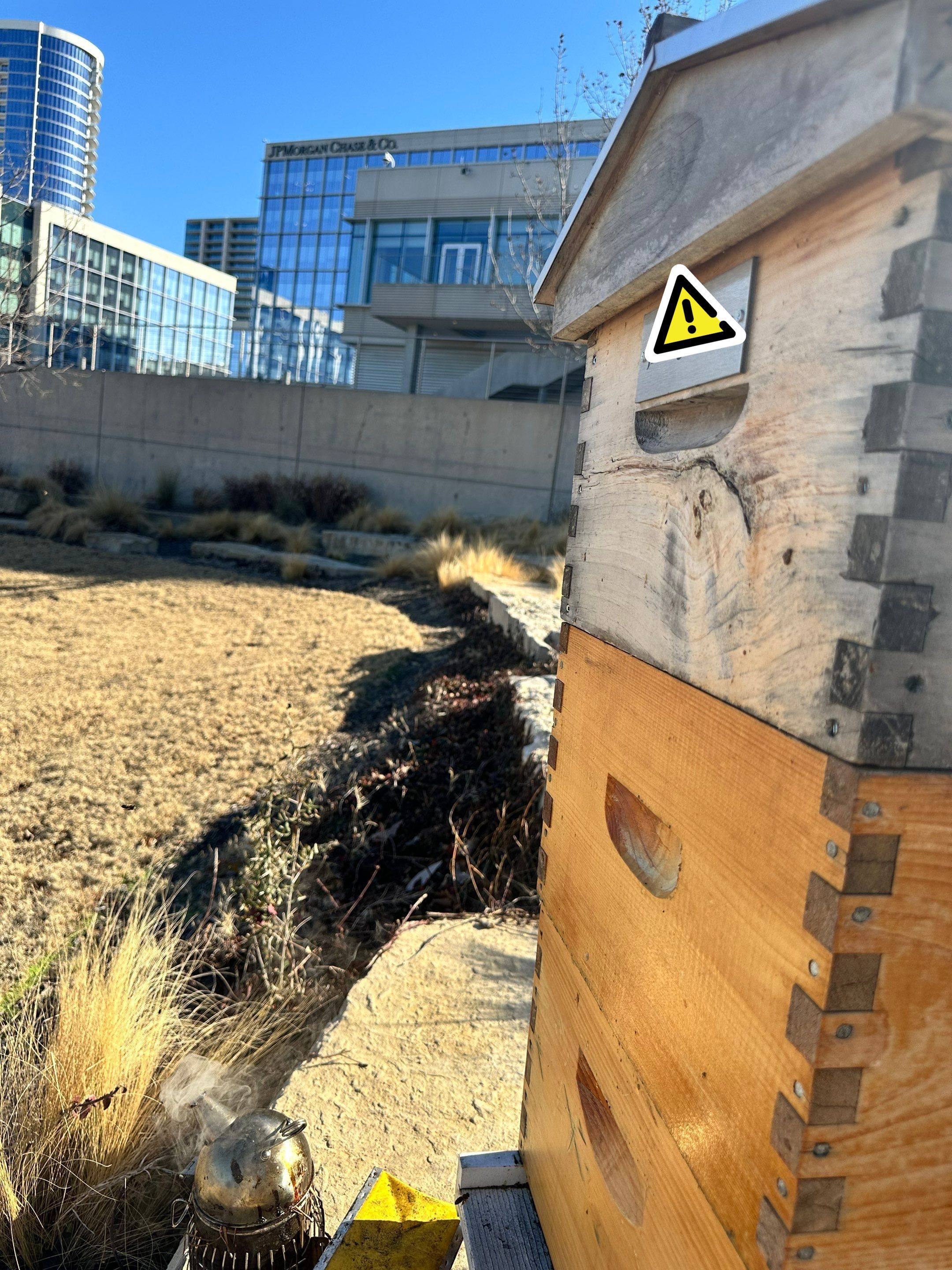 Frisco Corporate HQ by Rockwall Honey Bee Company