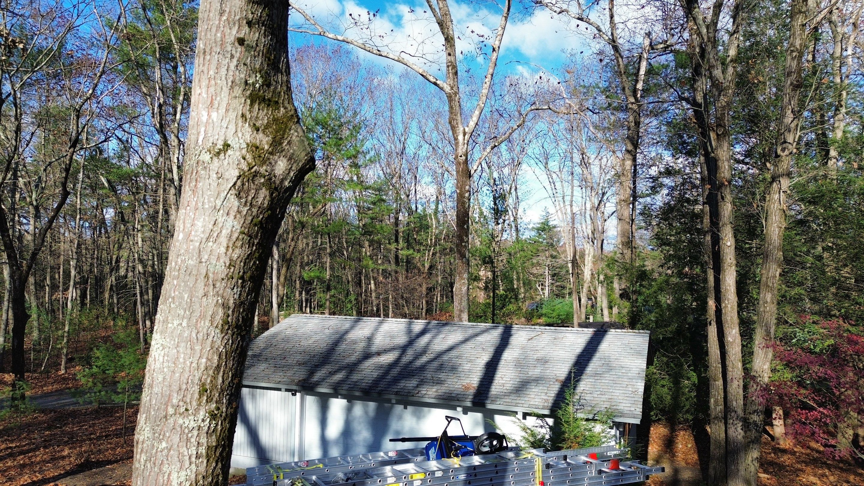 Roofing & Skylights | Concord by Mighty Dog Roofing of Greater Middlesex County