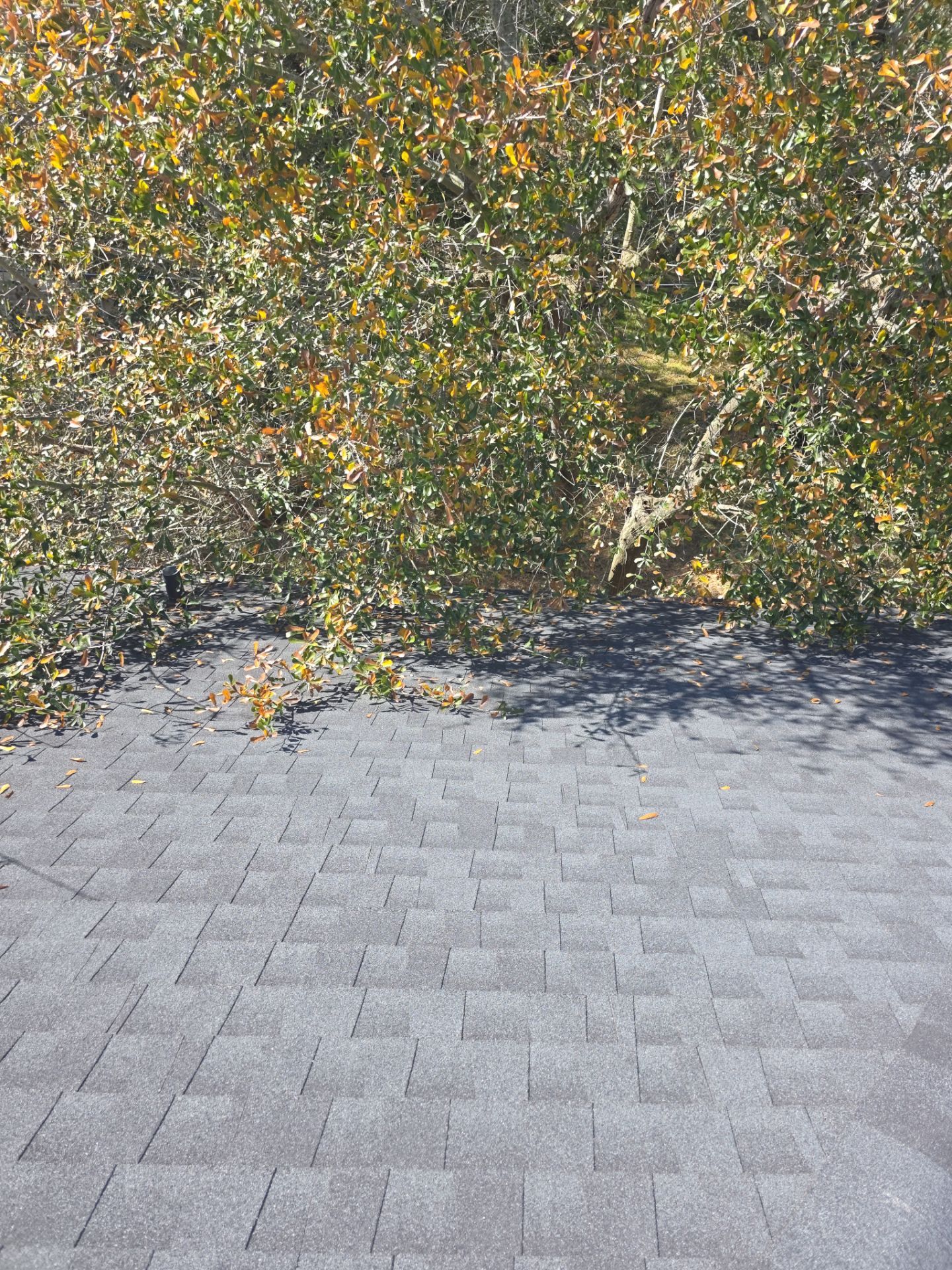 Our salesmen actually WORK for you! by REPS Austin Area Roofer