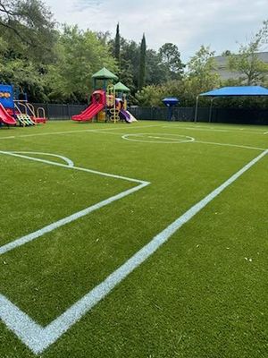 Creme de La Creme Turf Soccer Field and Playground in Mt Pleasant
