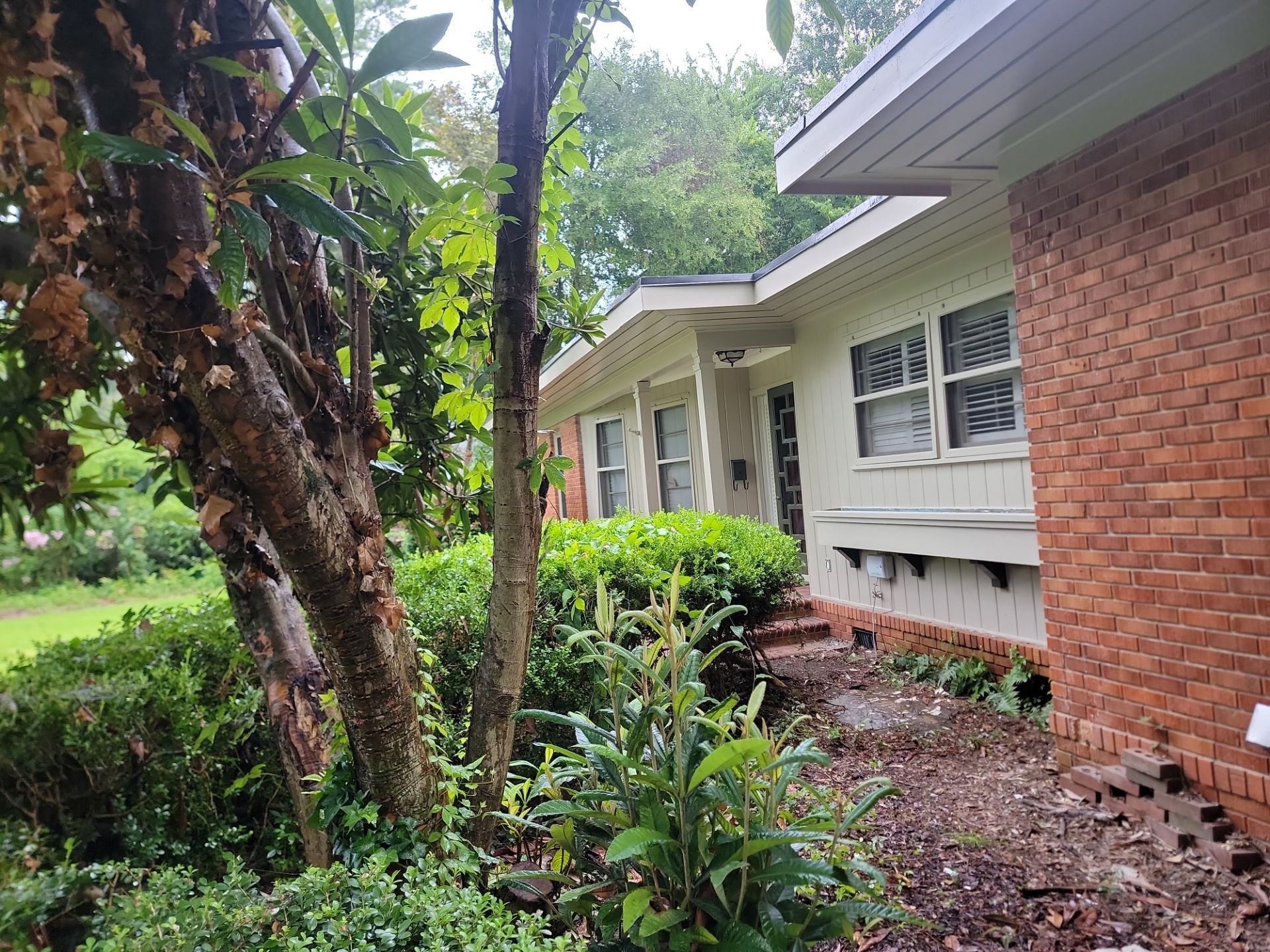 Exterior Refresh by Fresh Coat Painters of Augusta