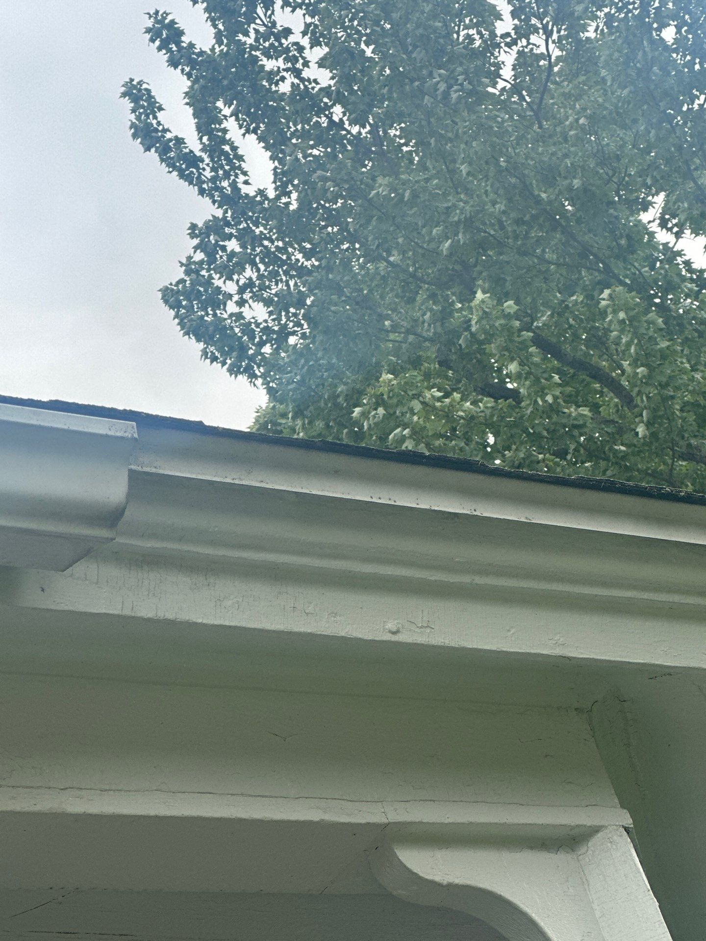 Roofing | Concord by Mighty Dog Roofing of Greater Middlesex County