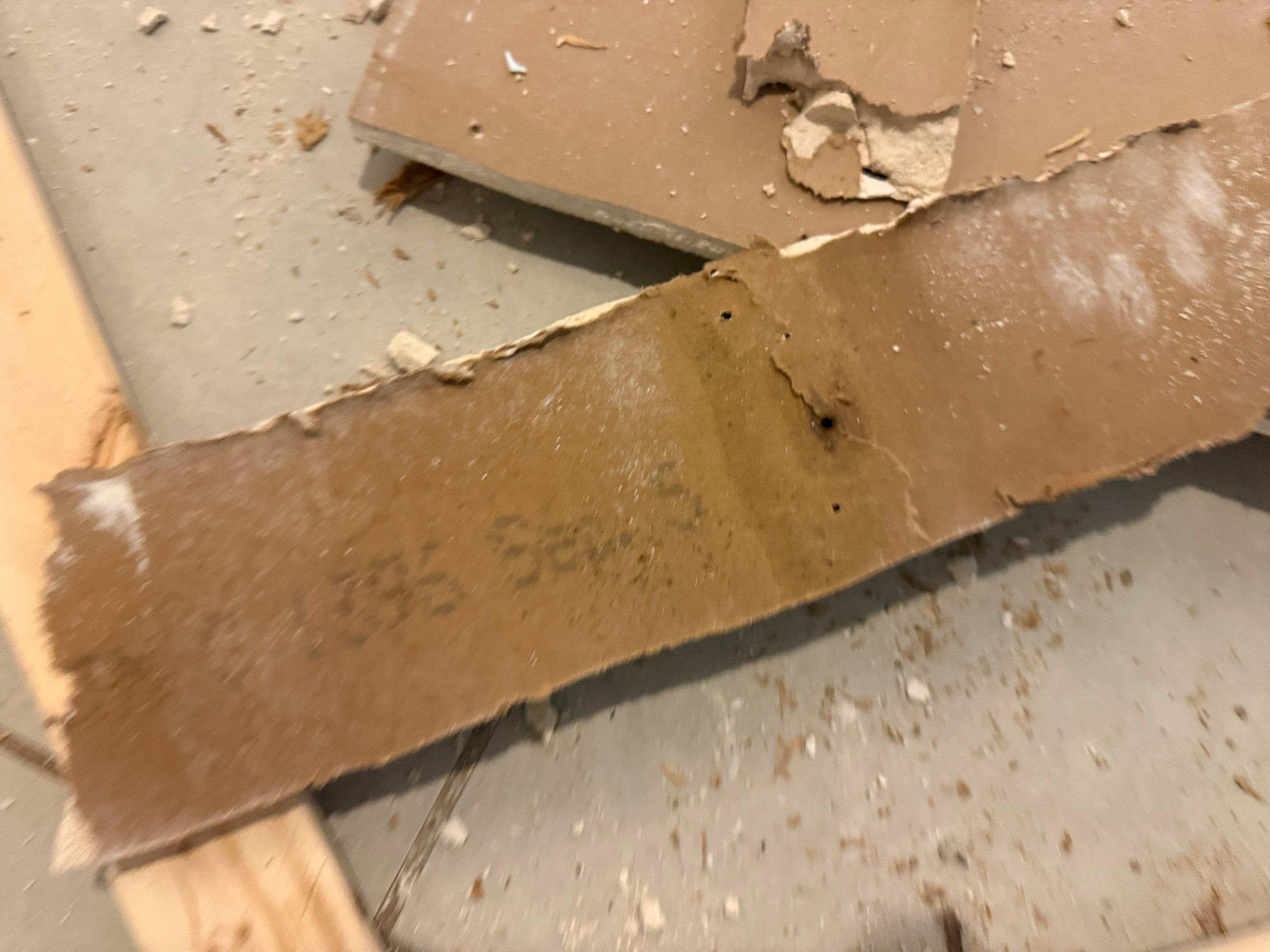 Project in Davenport by You Restorations LLC DBA YOU-Home