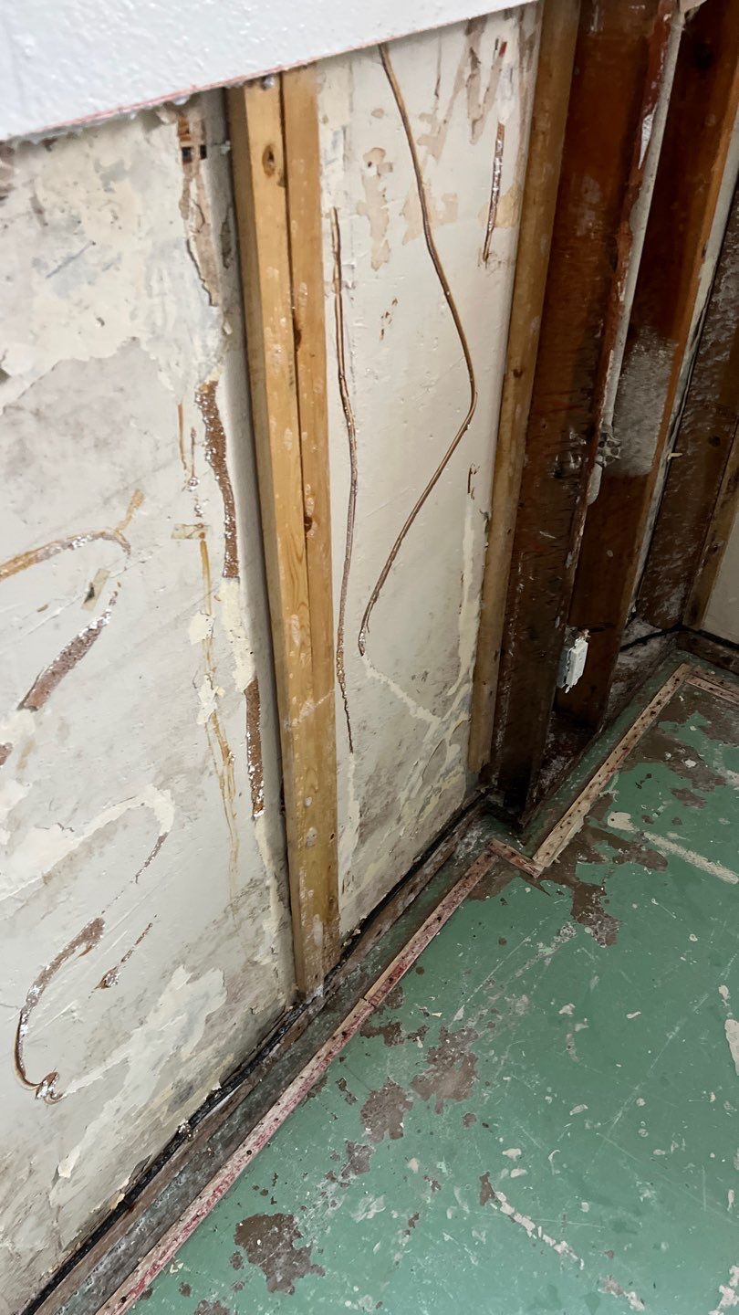 Mold Remediation by Accountable Home Services