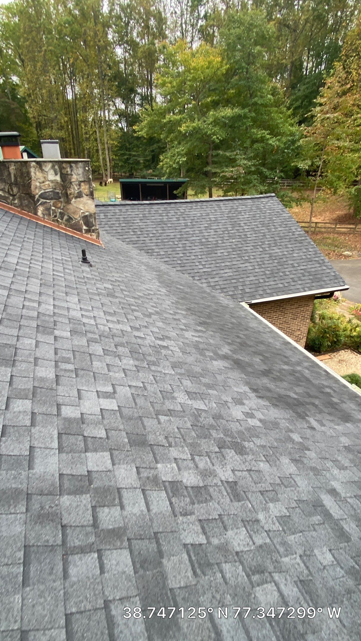 Fairfax Station: Multi-Trade Tree Damage Restoration by RM Banning, Inc.