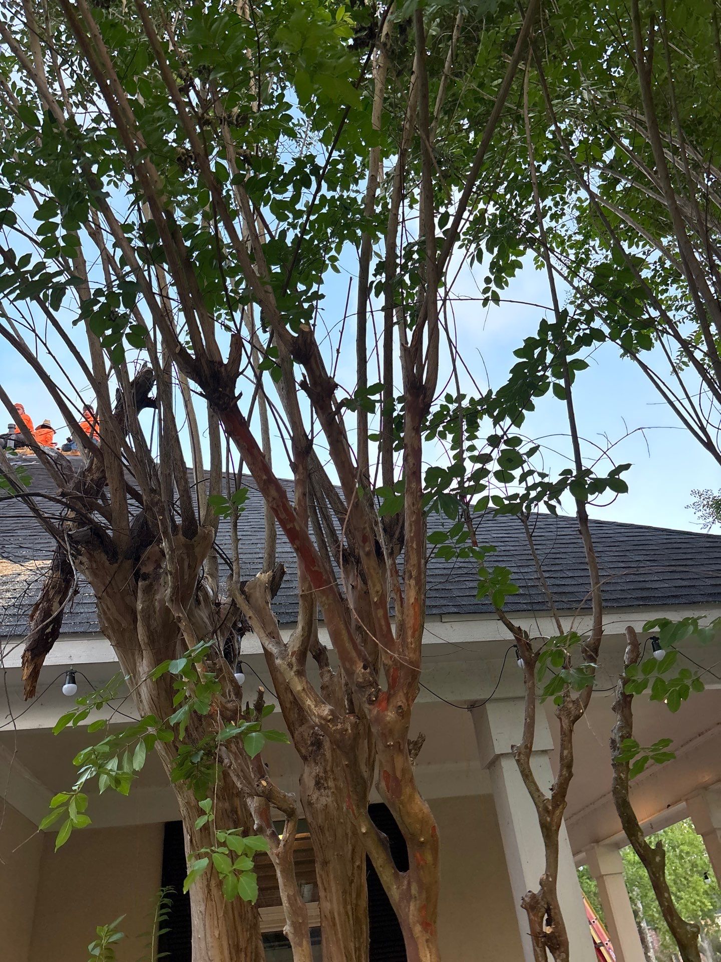 Roof Replacement Houston by Roof Repair Company